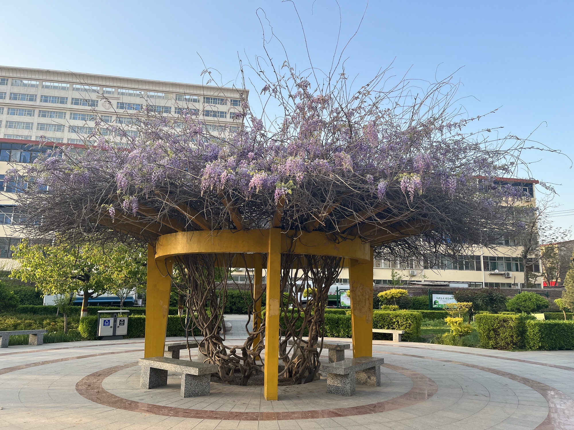育才公园