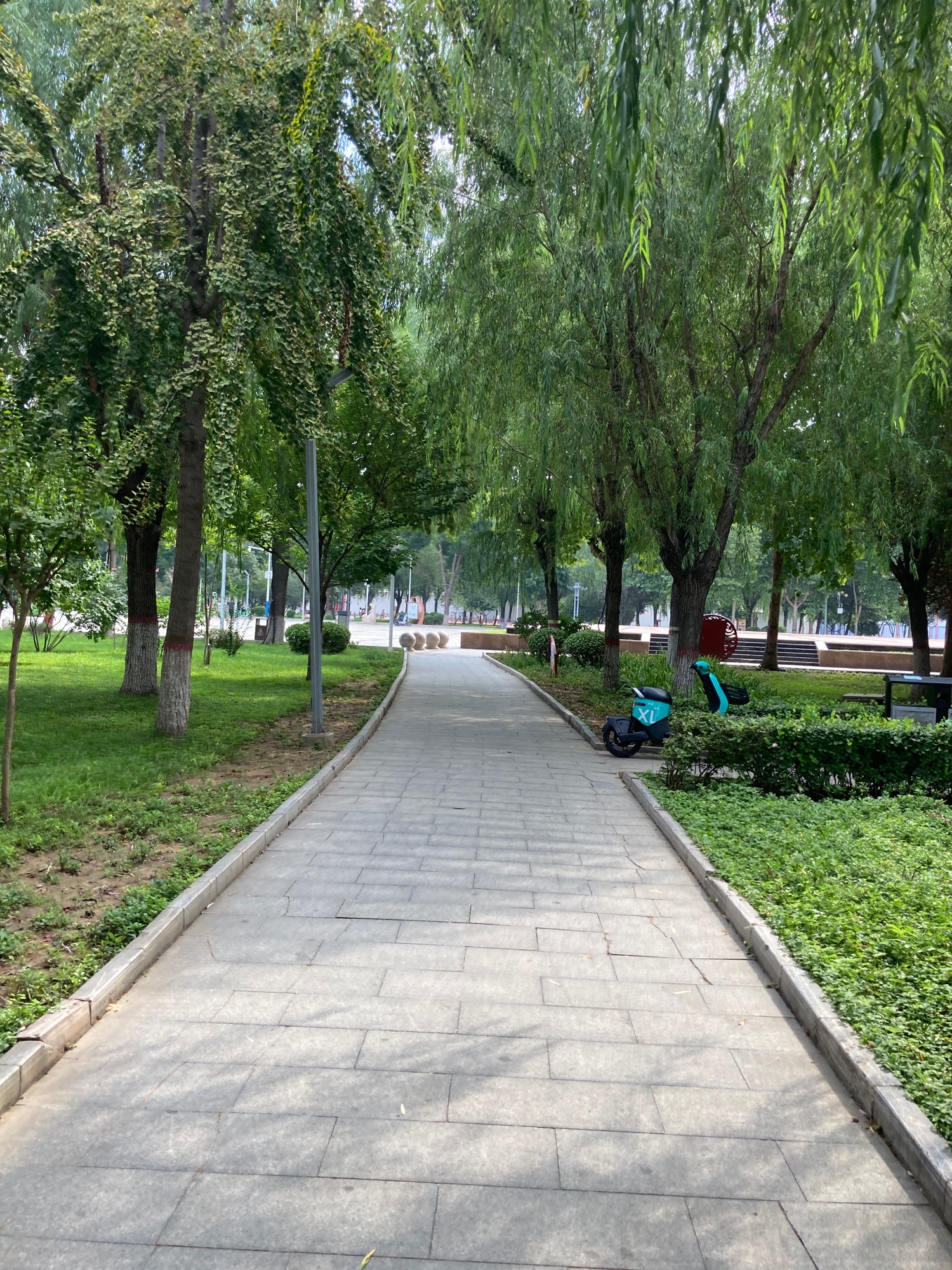 常山广场旅行图片 3