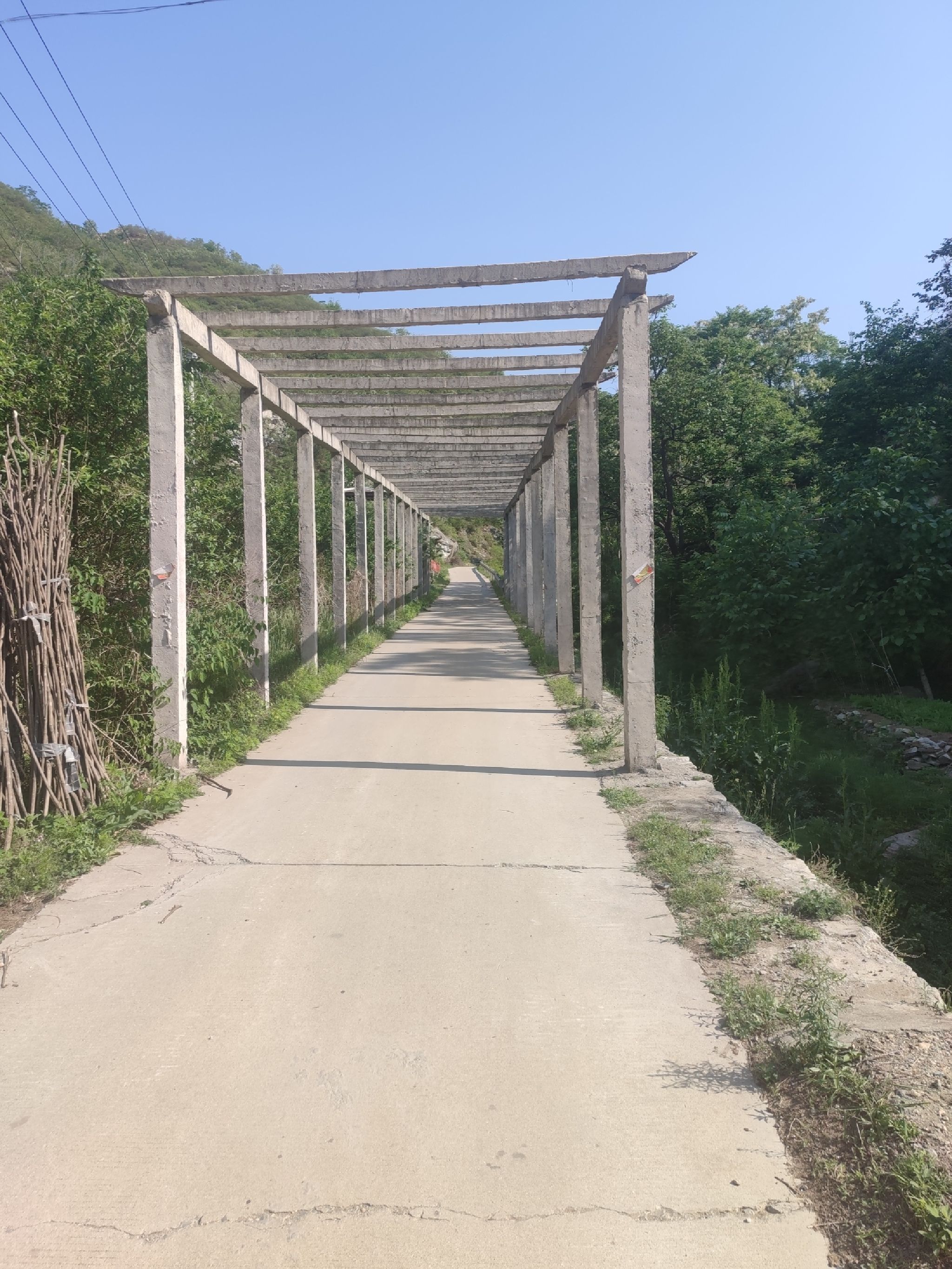 秋山风景区(暂停开放)旅行图片 1