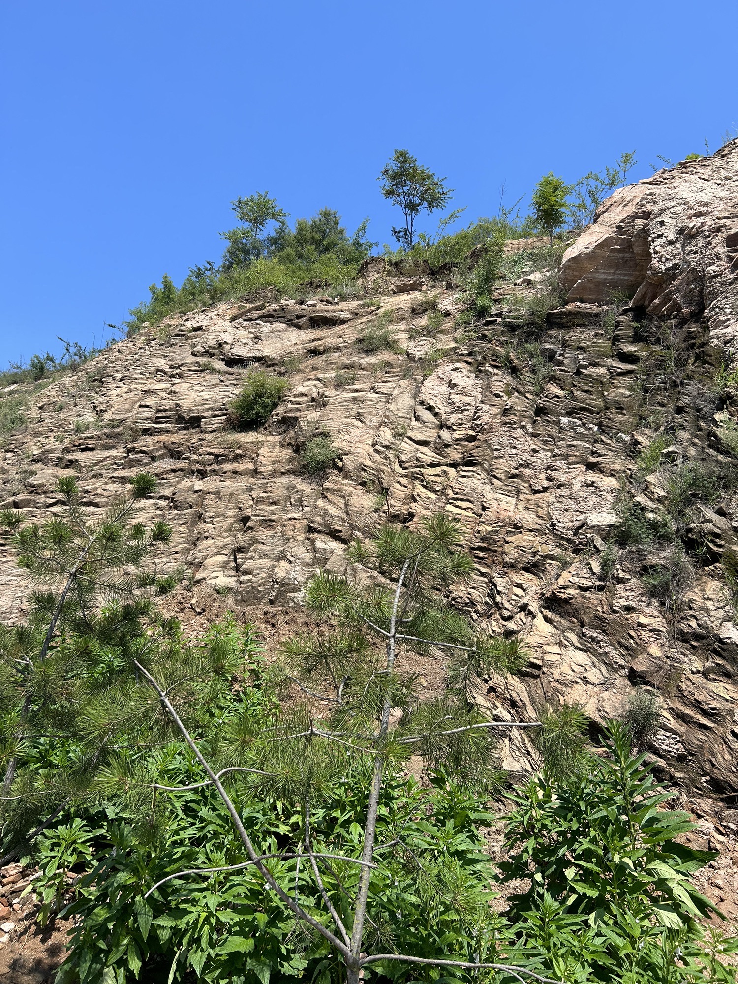 秋山风景区(暂停开放)旅行图片 2