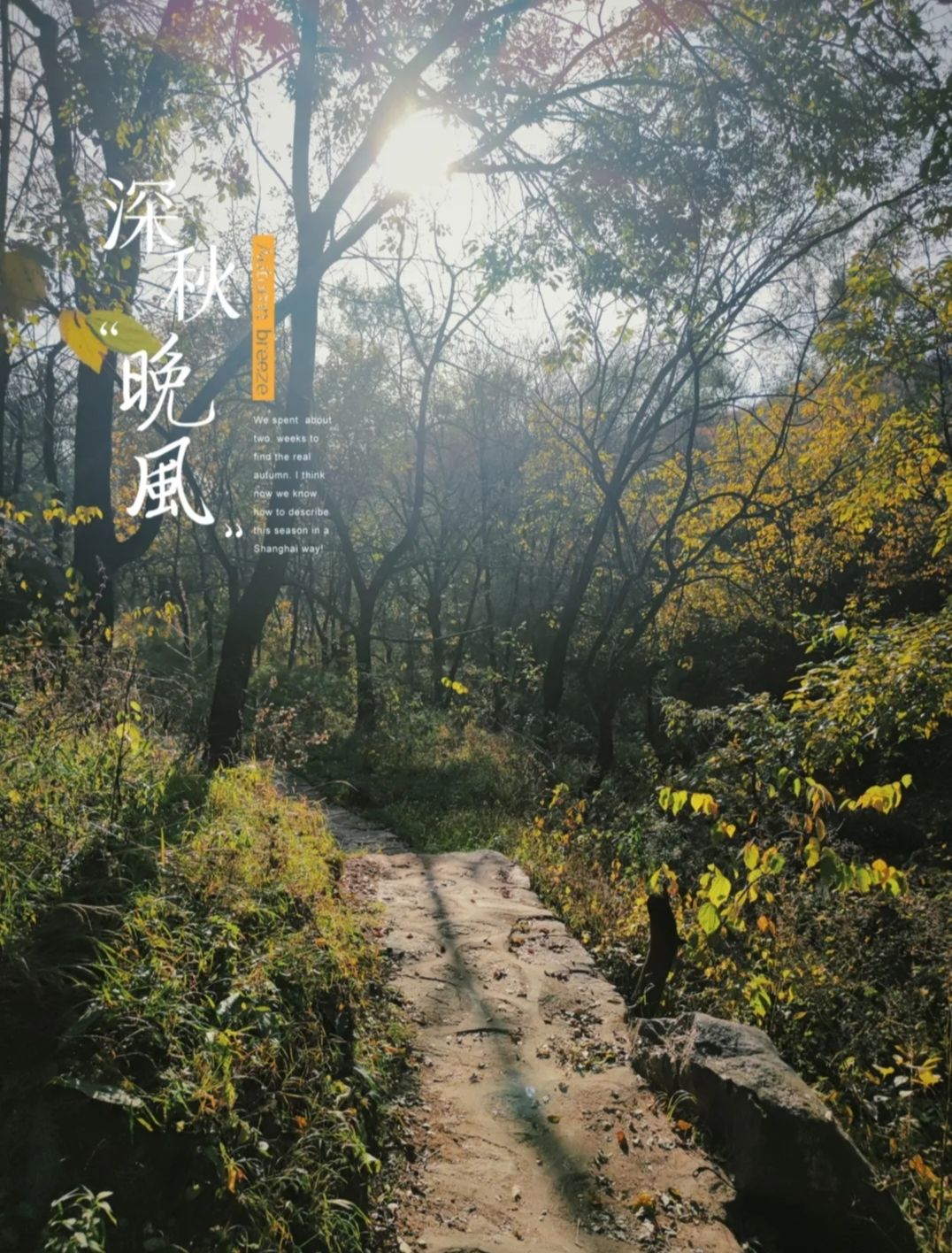 秋山风景区(暂停开放)旅行图片 2