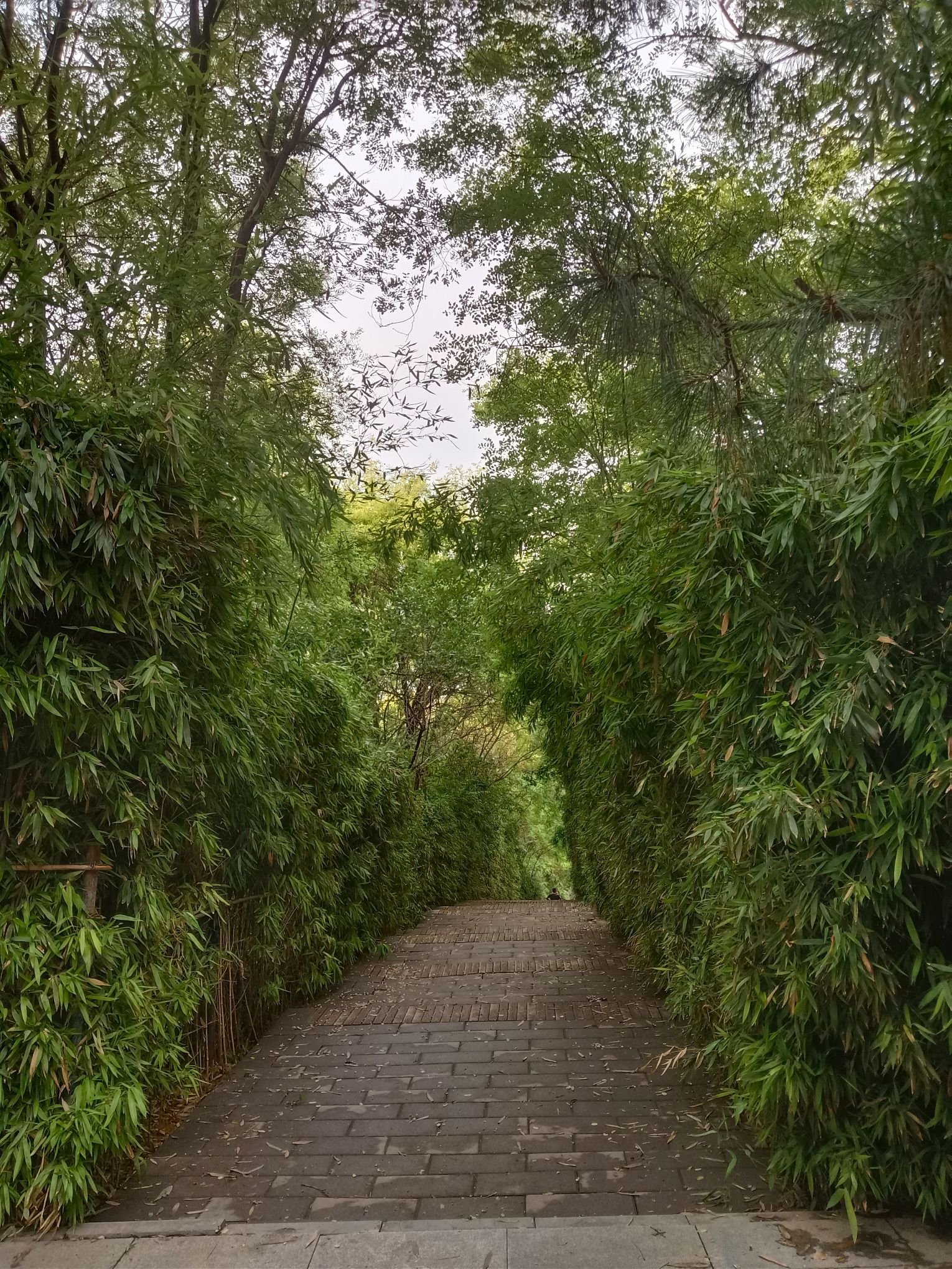 南高基公园旅行图片 2
