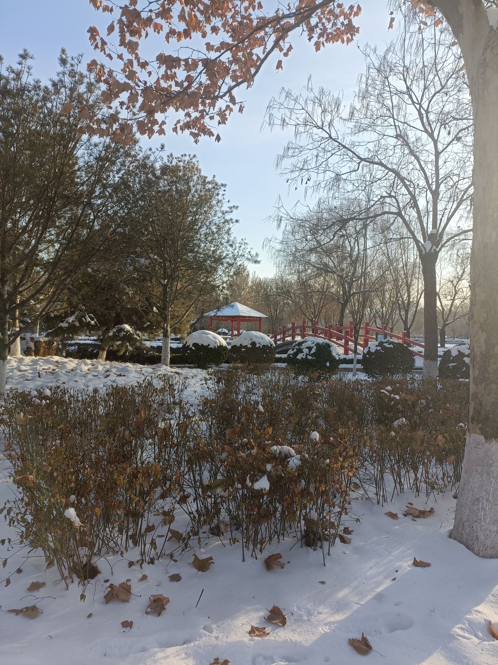 南高基公园旅行图片 3