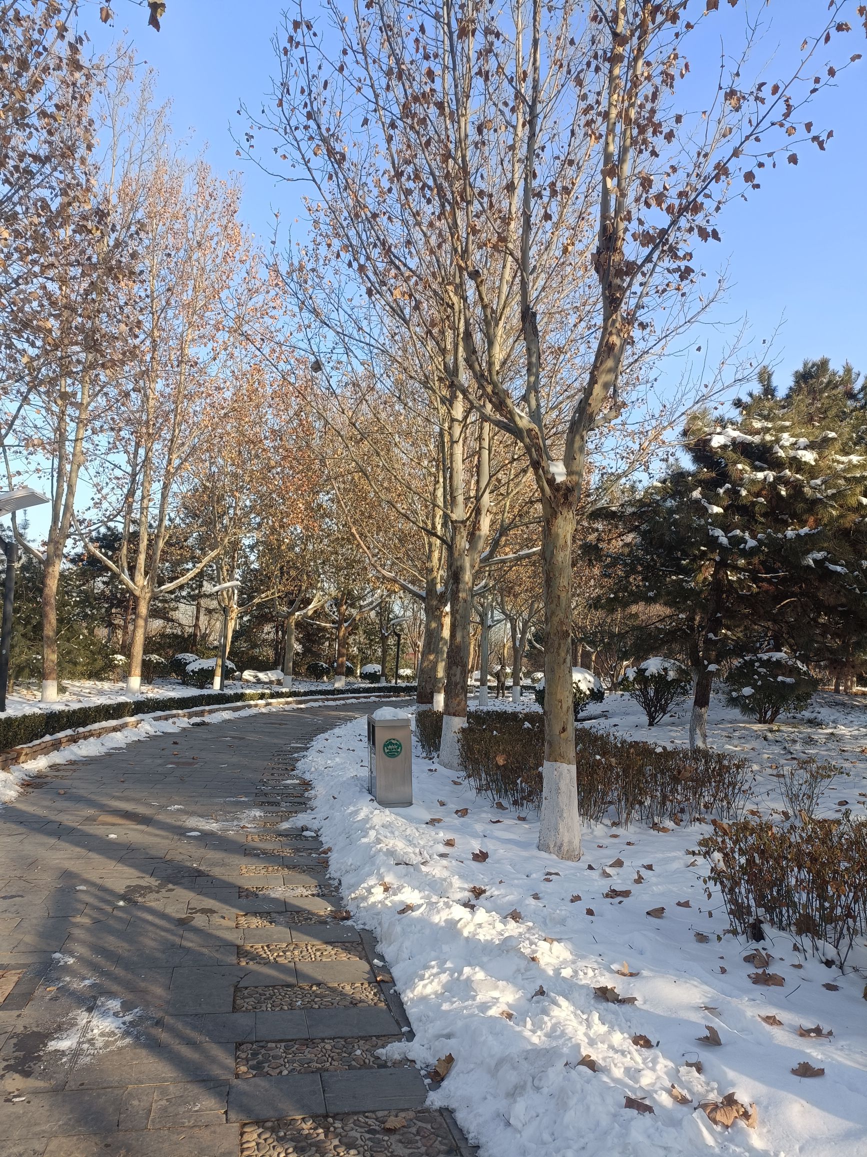 南高基公园旅行图片 2