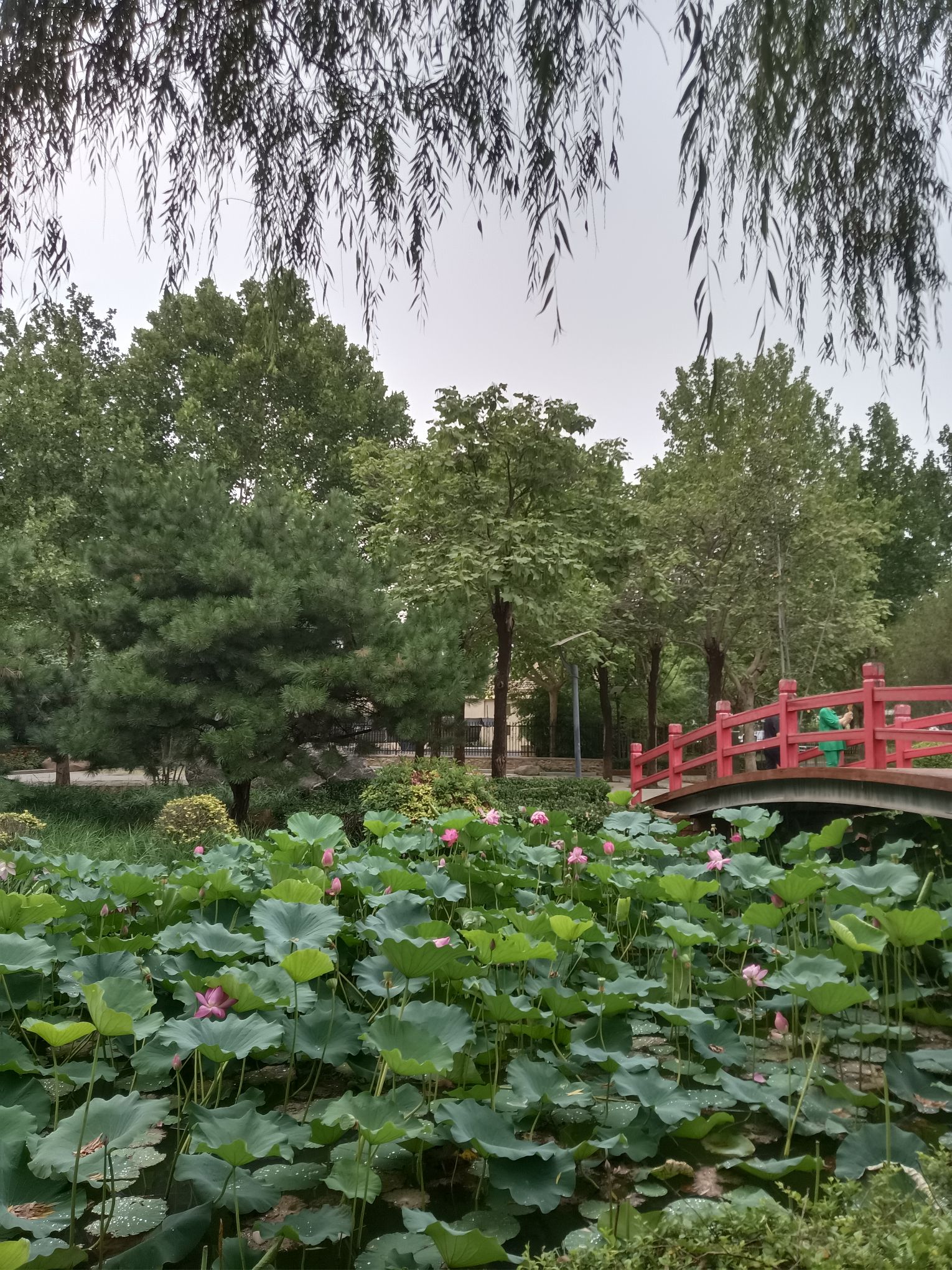 南高基公园旅行图片 3