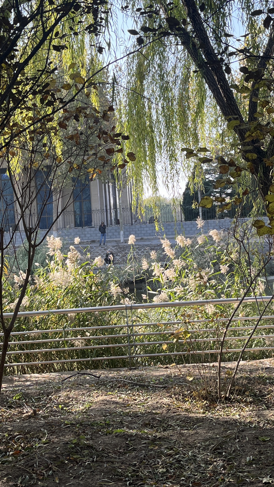 高迁公园旅行图片 2