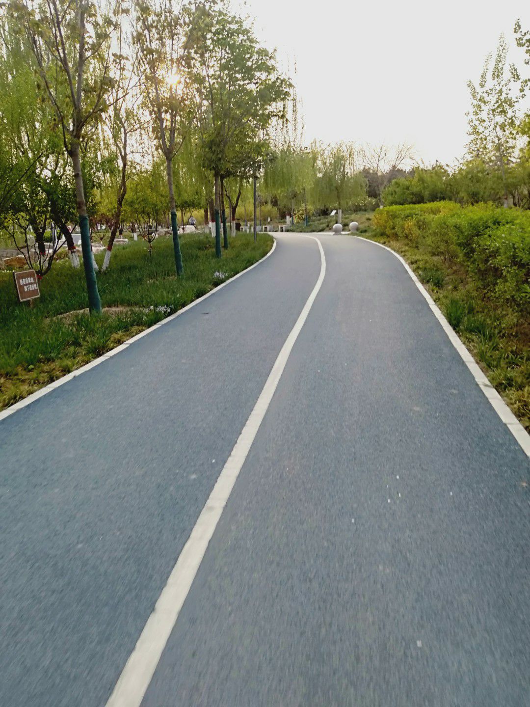 高迁公园旅行图片 3