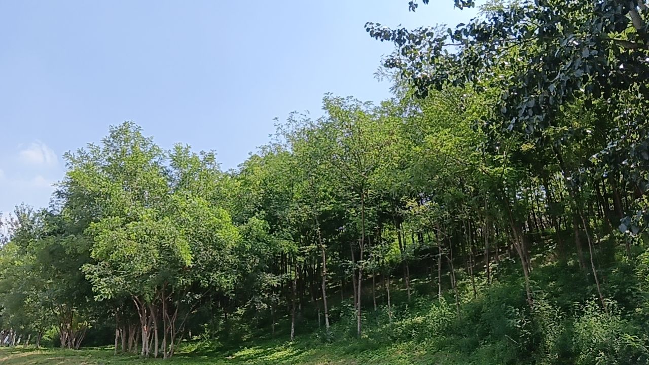 冀之光旅行图片 2