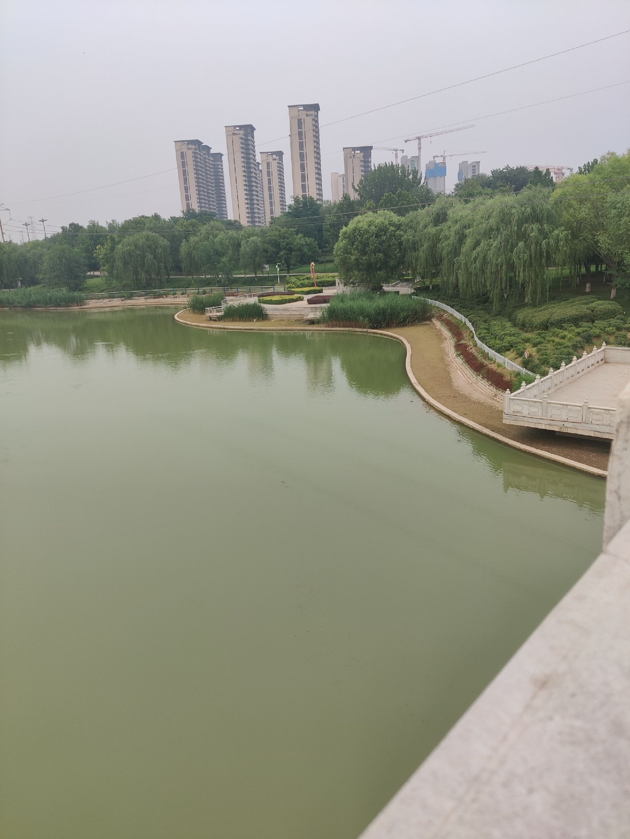 天山公园旅行图片 1