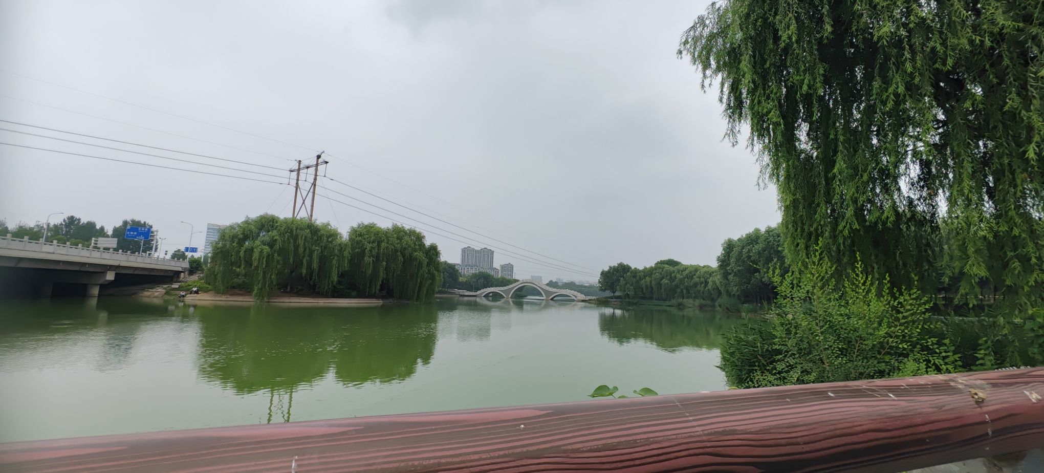 天山公园旅行图片 3