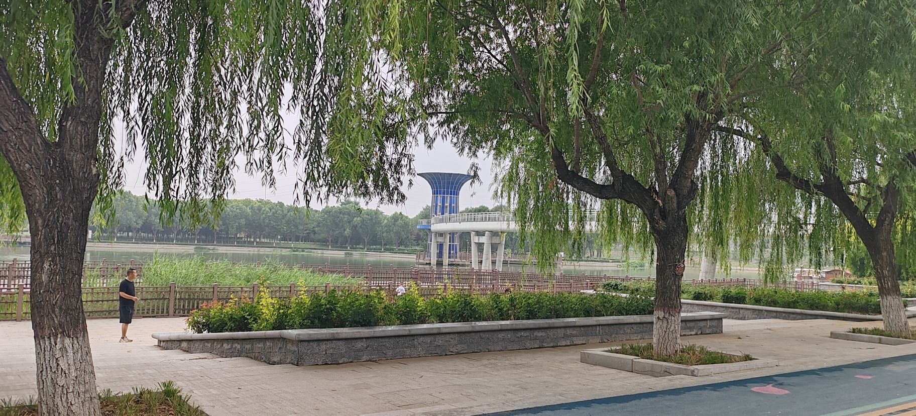 天山公园旅行图片 1