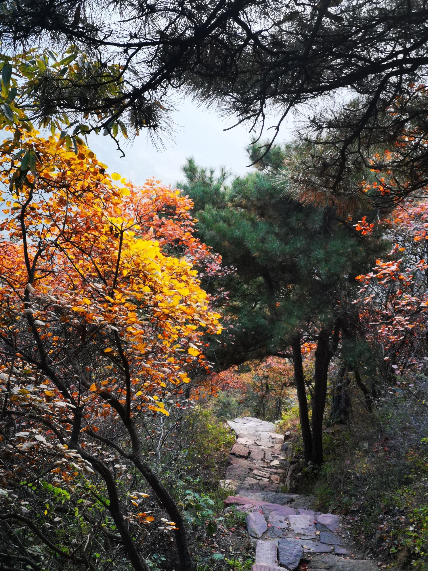 锦山自然生态风景区