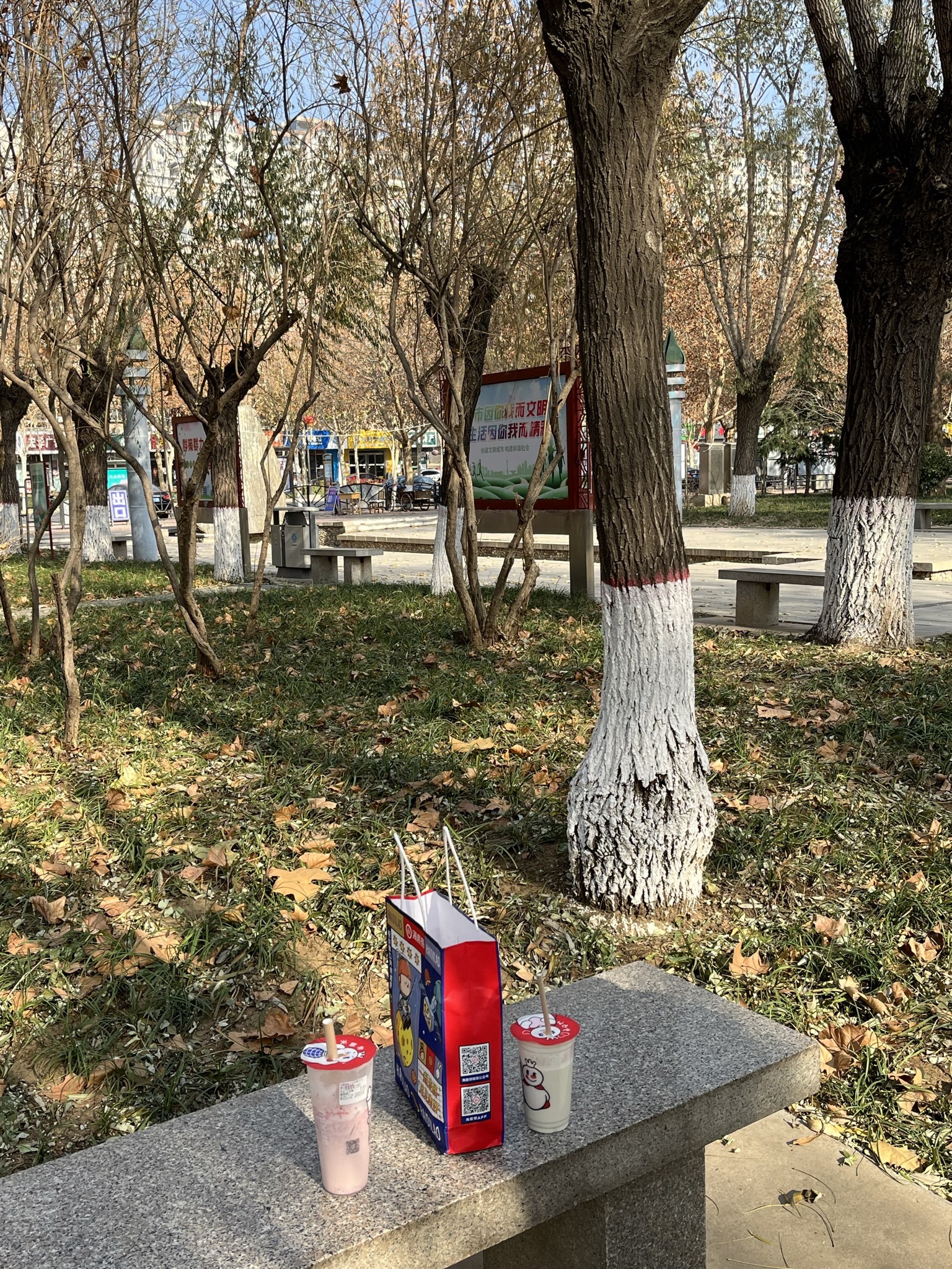 花园广场旅行图片 1