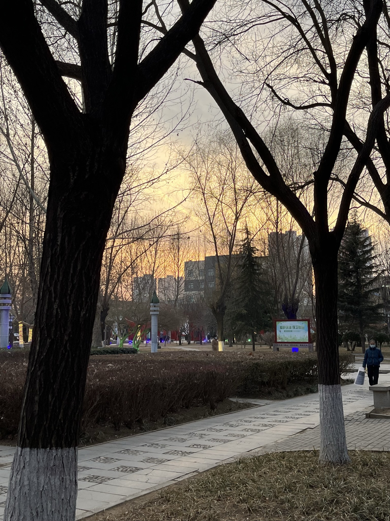 花园广场旅行图片 3