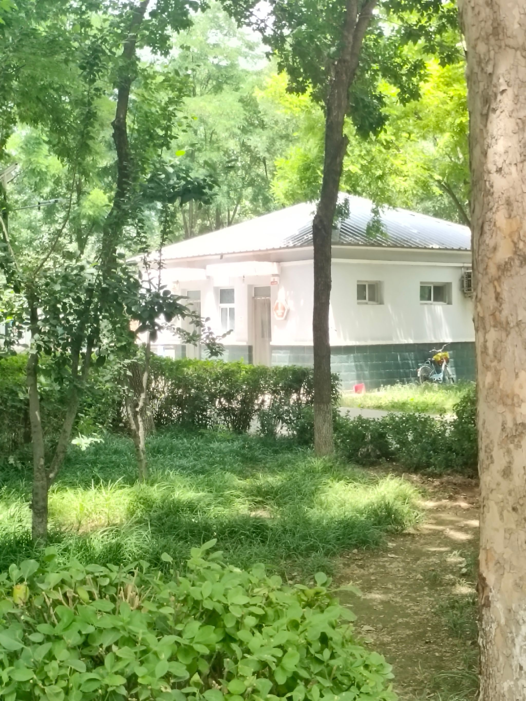 新世纪公园旅行图片 2