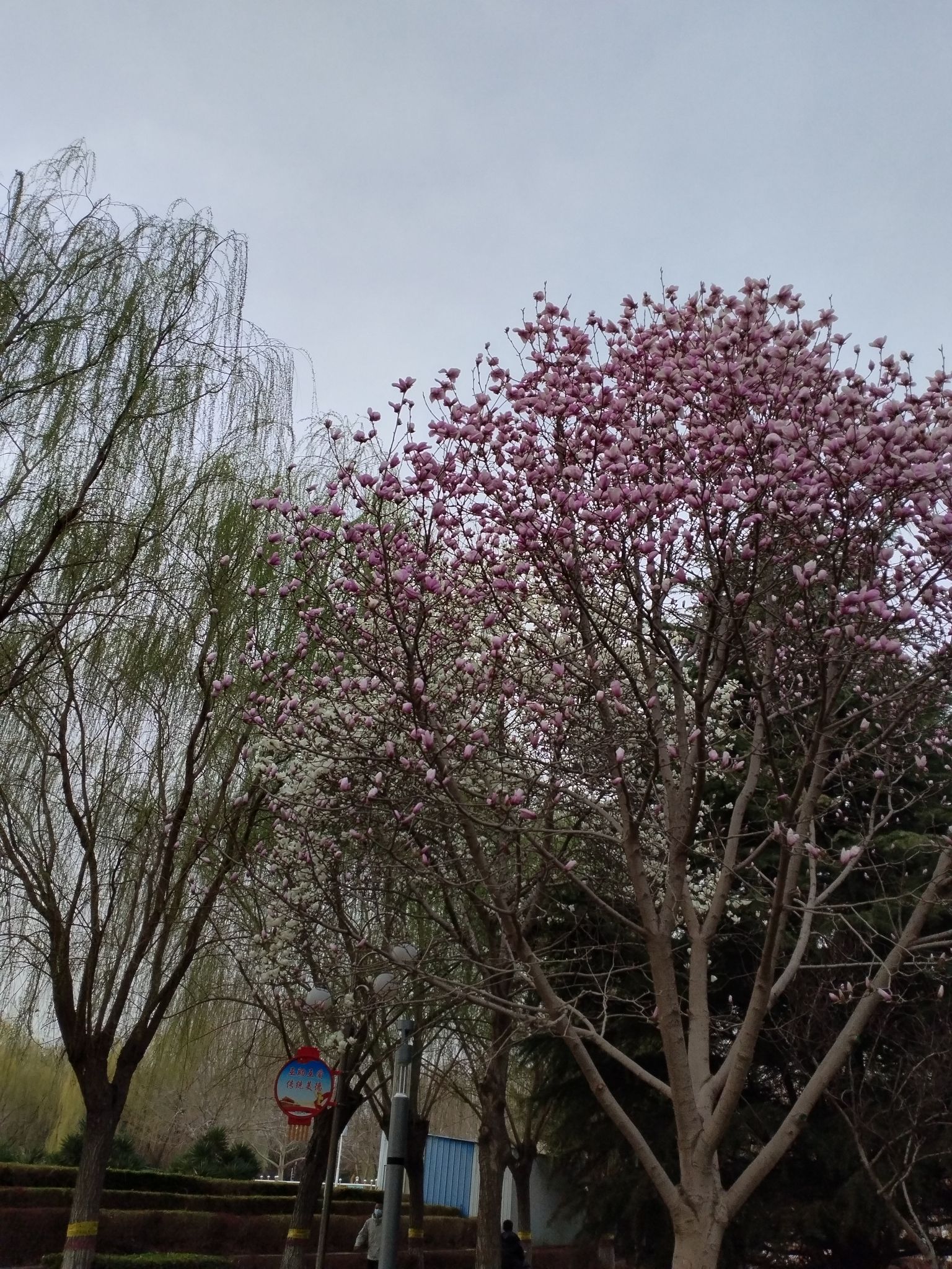 藁城区人民广场旅行图片 3