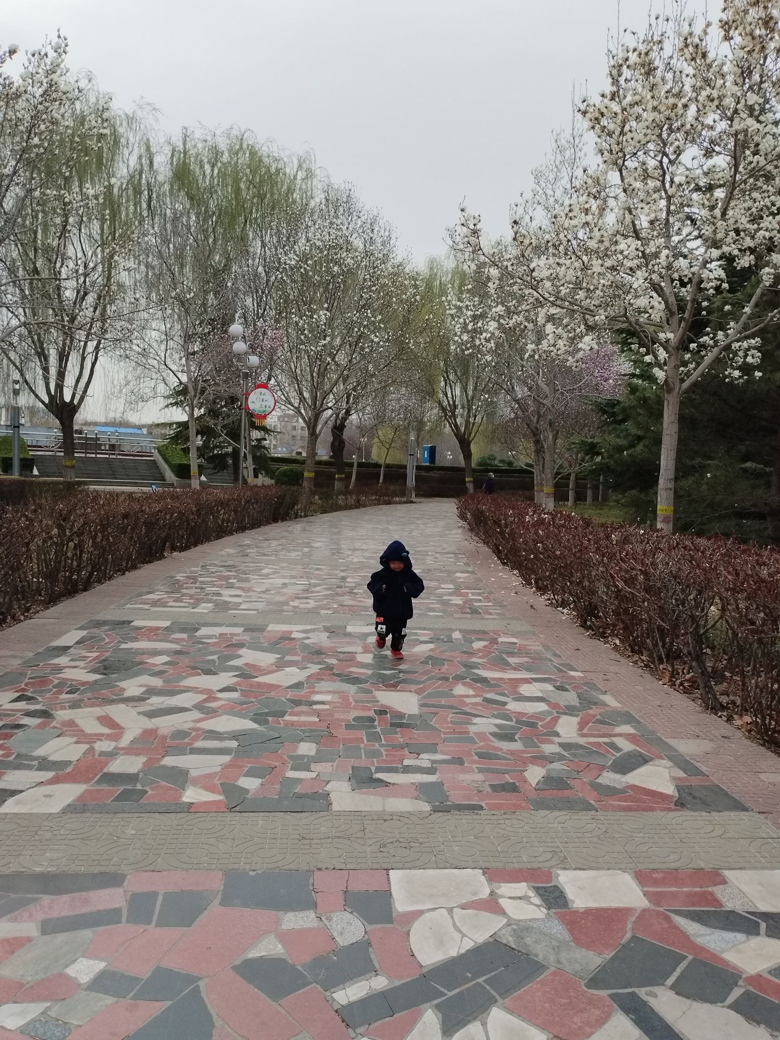 藁城区人民广场旅行图片 2