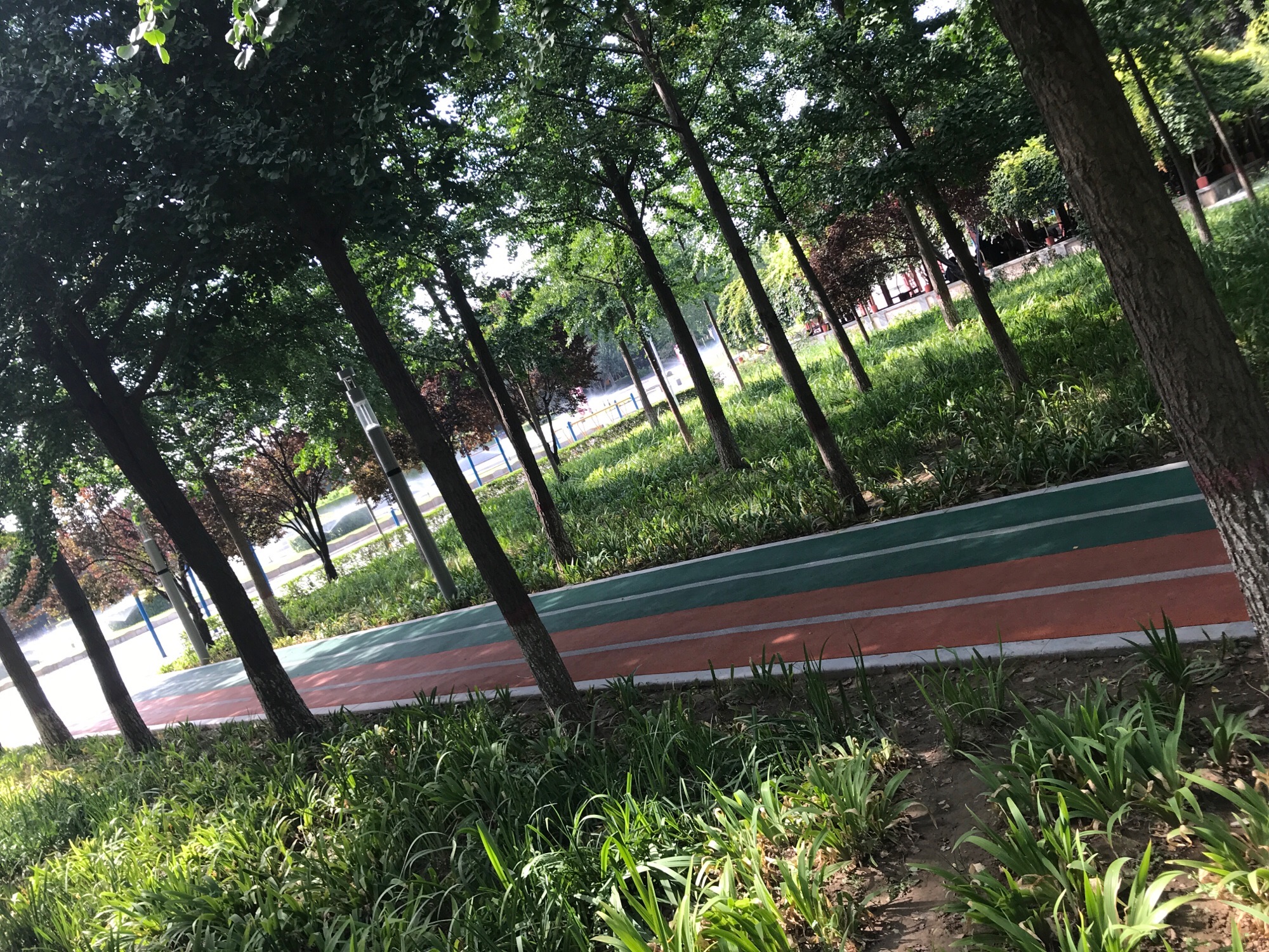 藁城区人民广场旅行图片 2