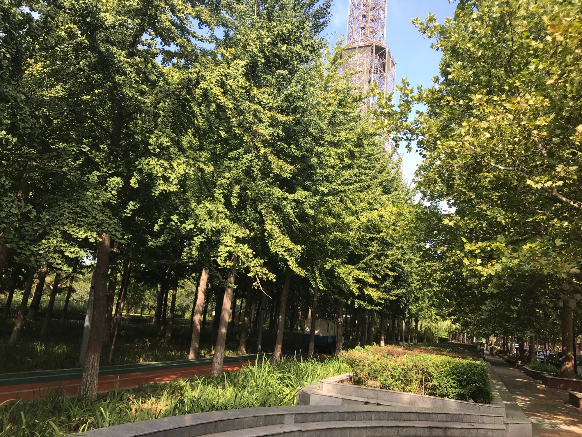藁城区人民广场旅行图片 1