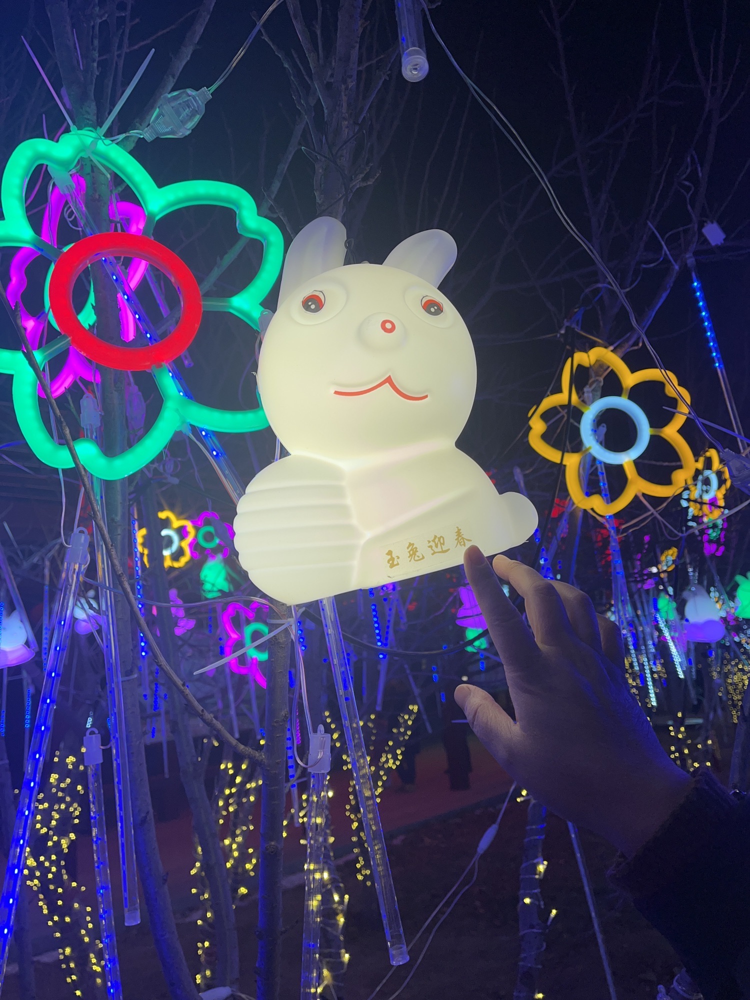 藁城区人民广场旅行图片 3