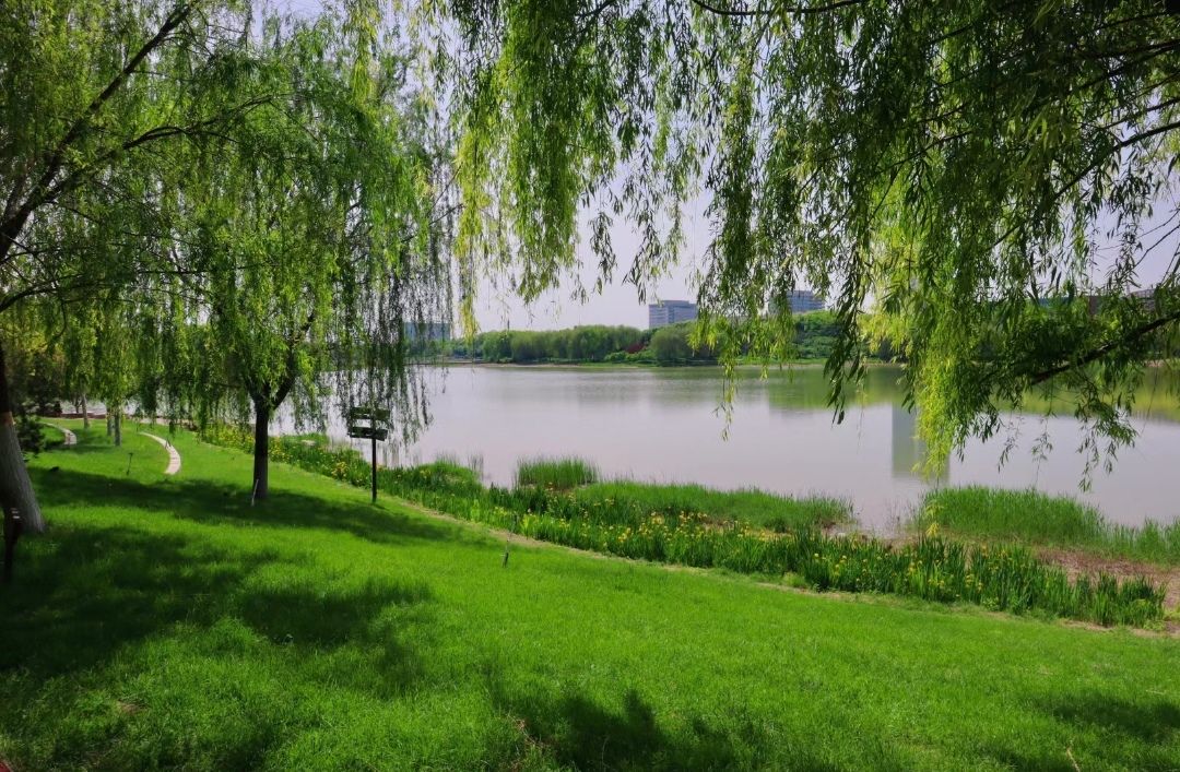 柏林公园旅行图片 3