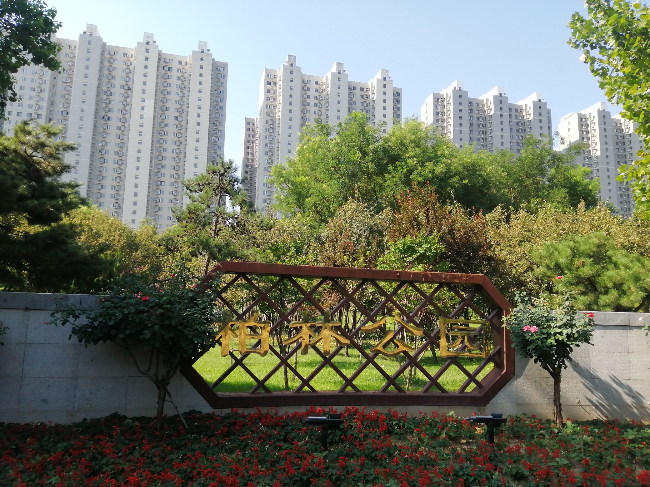 柏林公园旅行图片 2