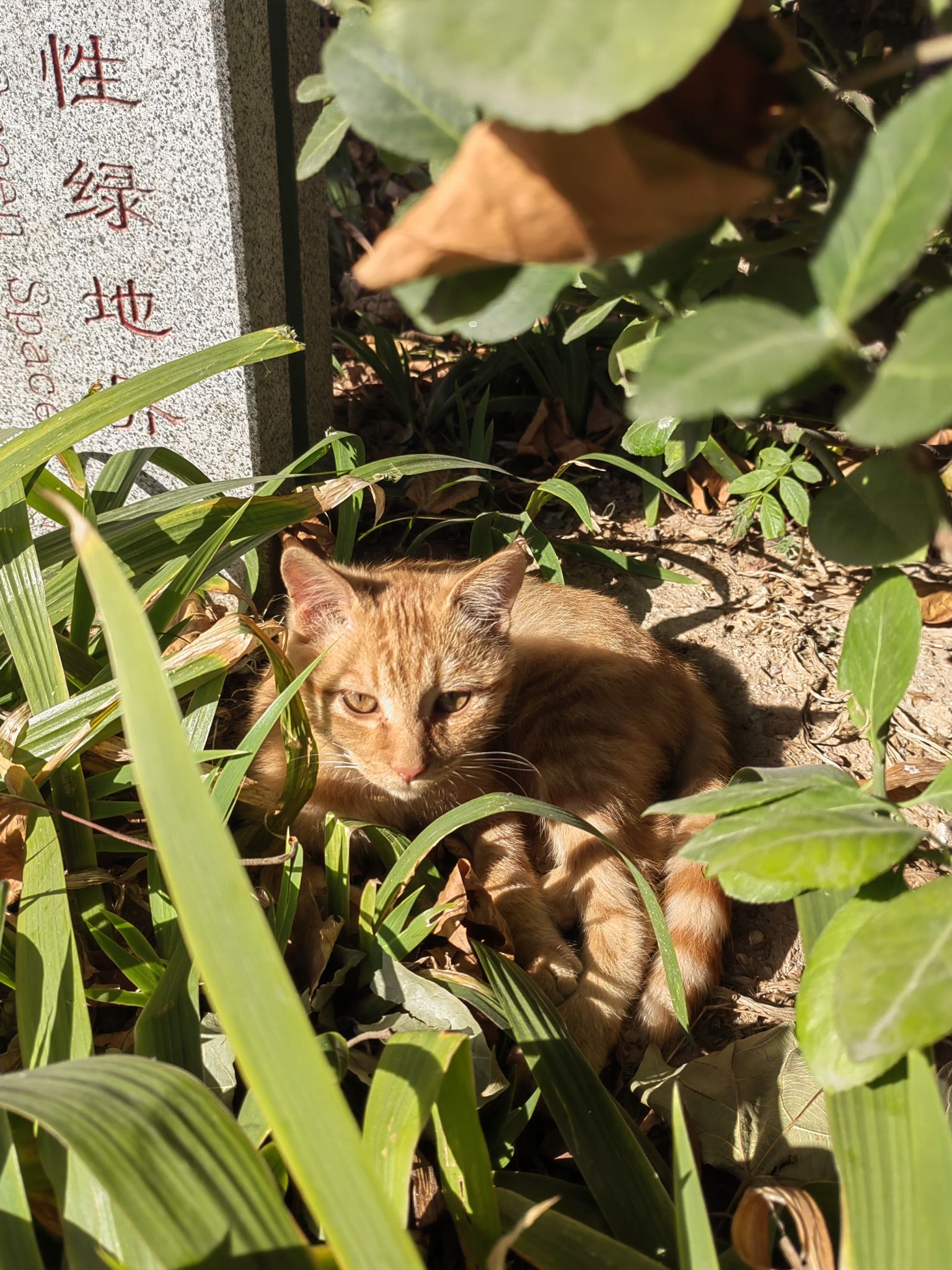 柏林公园旅行图片 3