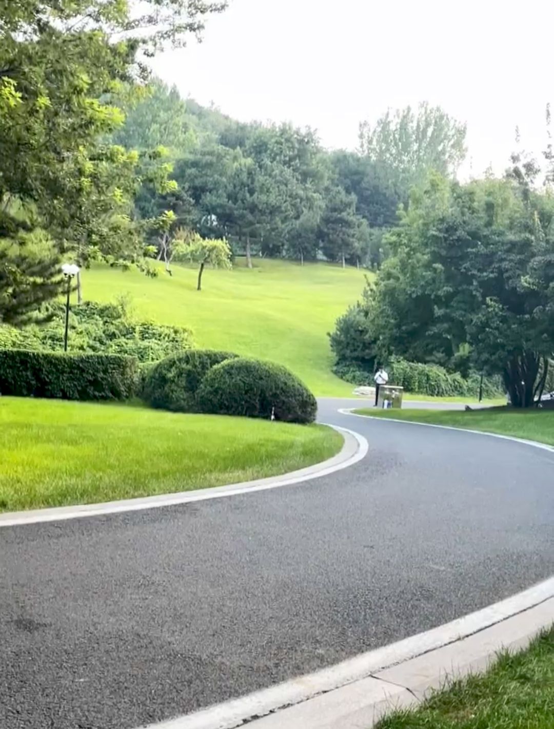 柏林公园旅行图片 1