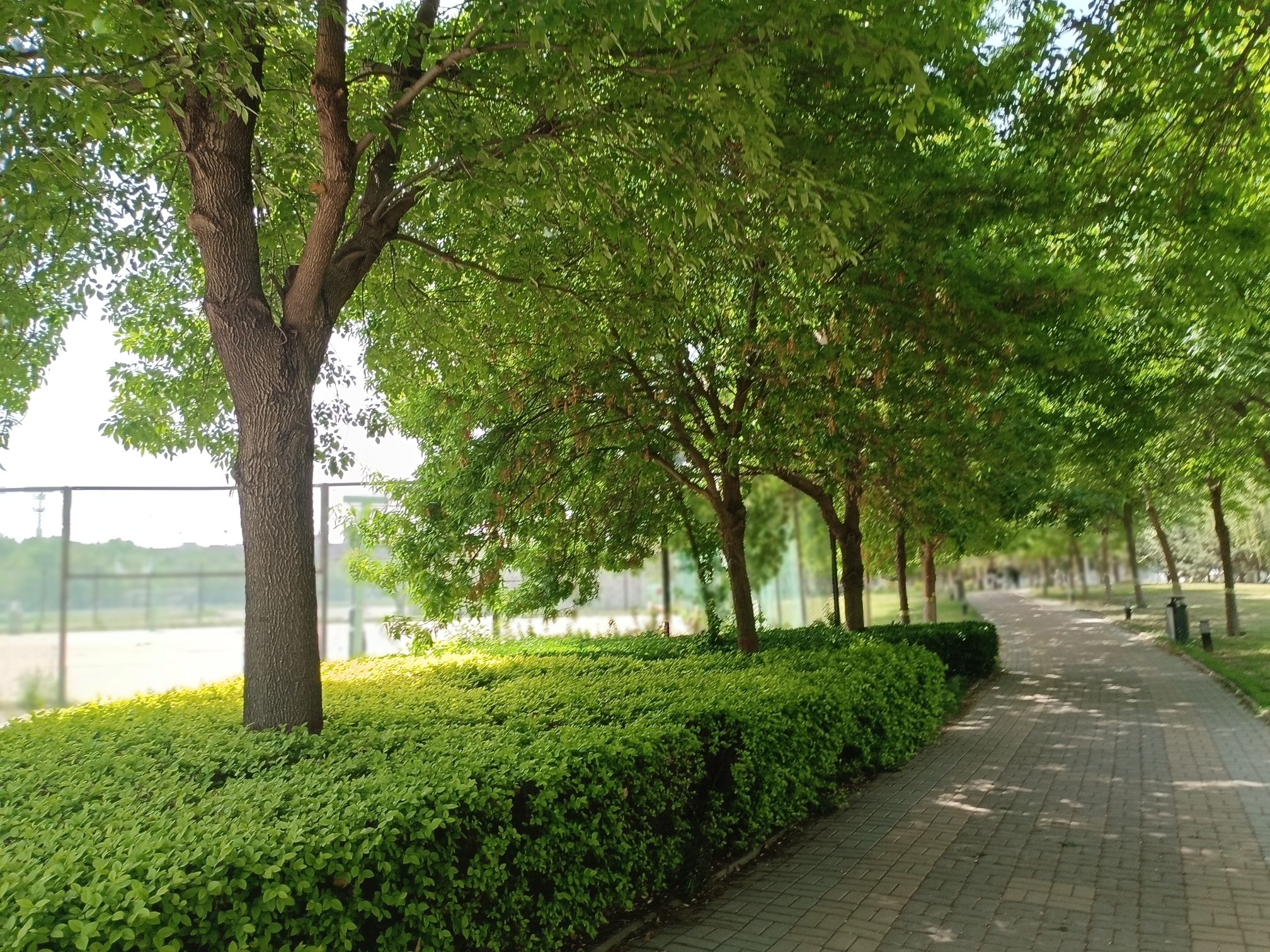 石家庄学院-尚学楼