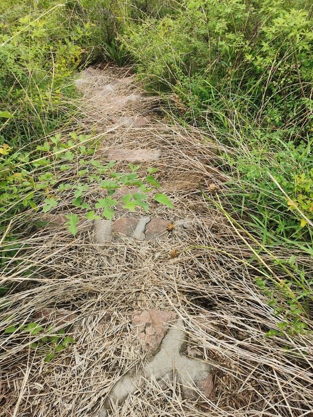 黄金寨原生态旅游区旅行图片 3