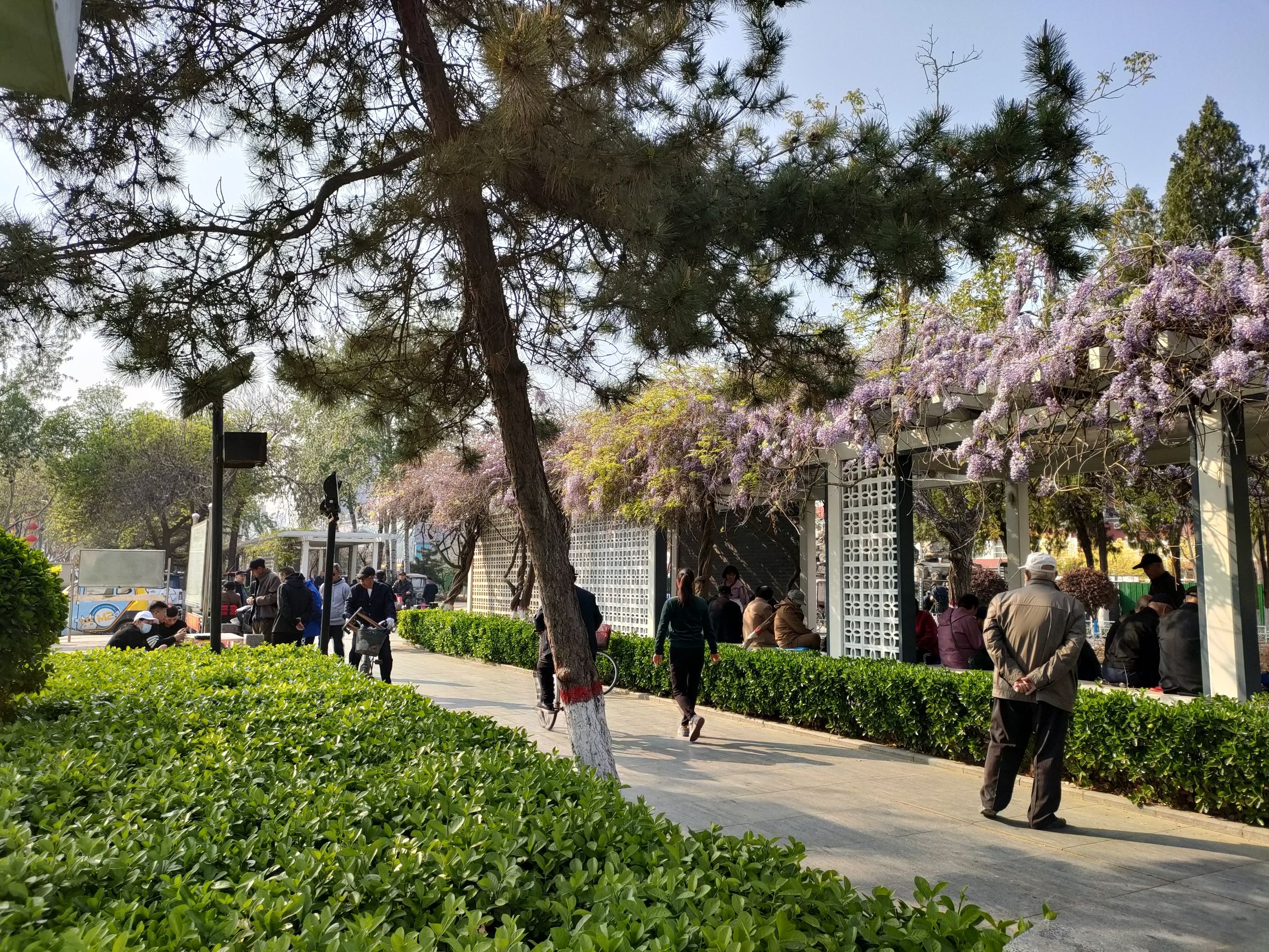 保定滨河公园旅行图片 3