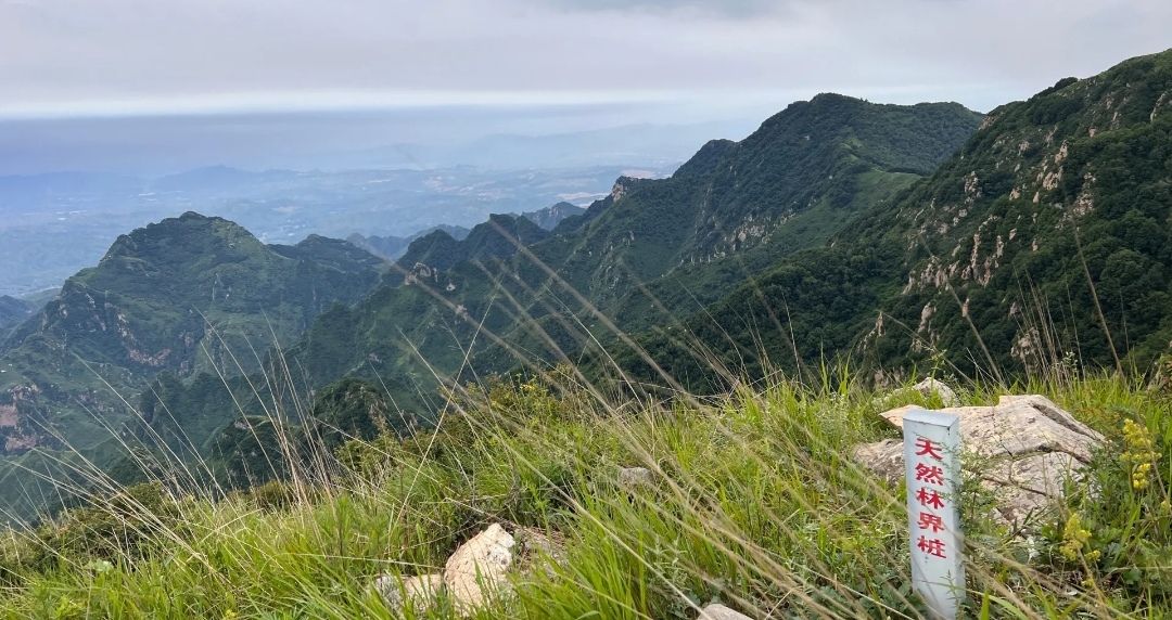 大茂山景区(暂停开放)旅行图片 3