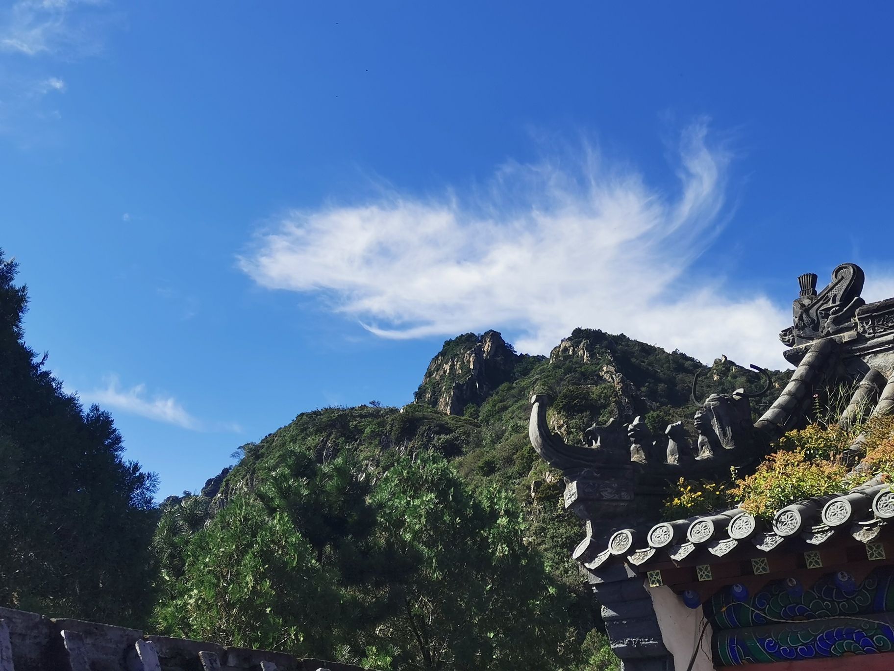 大茂山景区(暂停开放)旅行图片 1