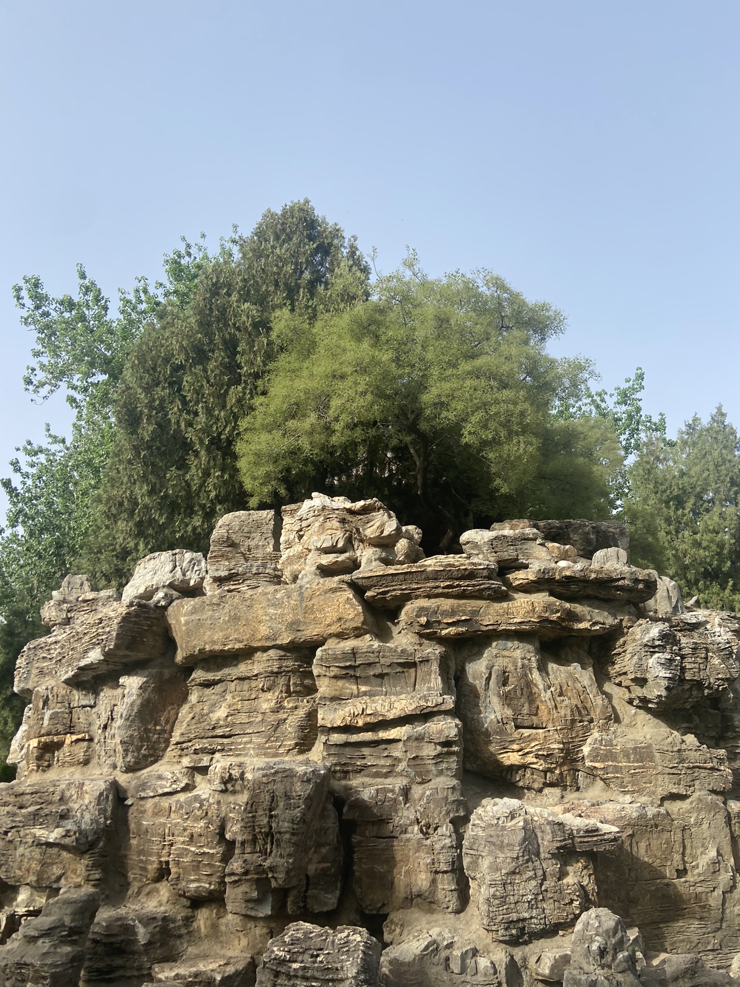 保定市东风公园旅行图片 1