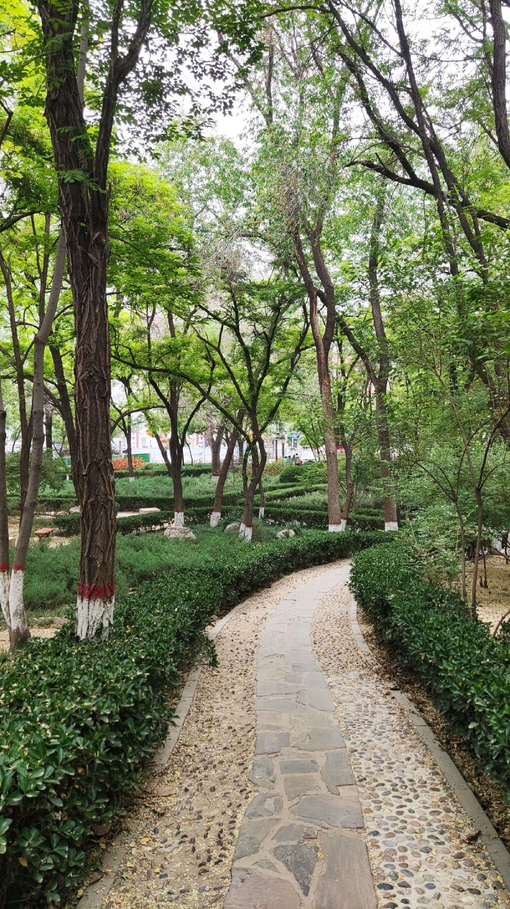 保定市东风公园