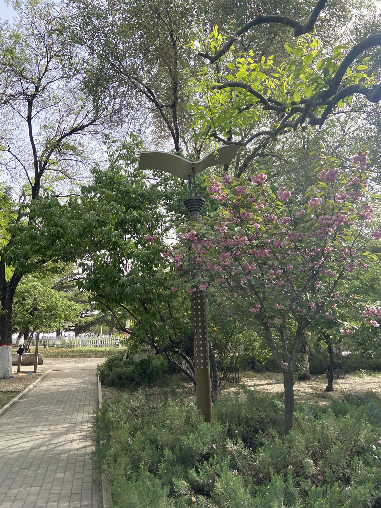 保定市东风公园旅行图片 3