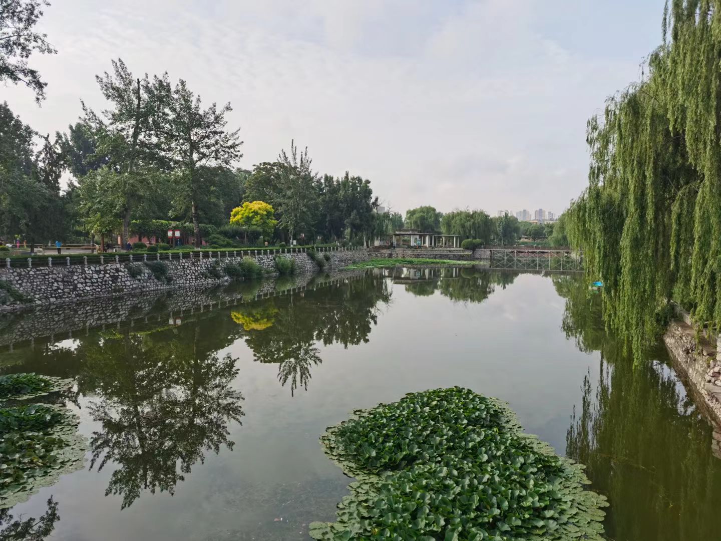 保定市东风公园旅行图片 2