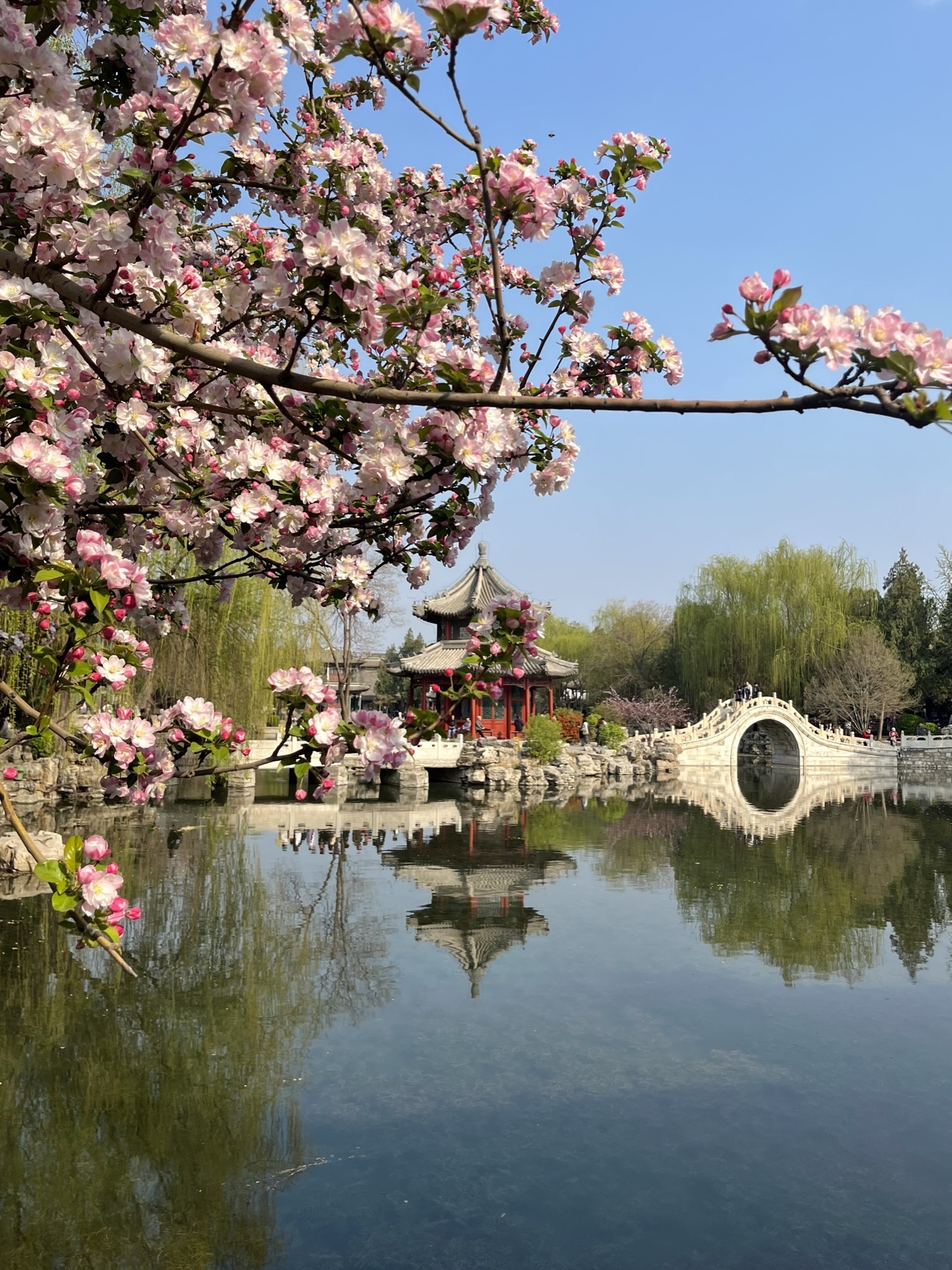 莲池书院博物馆(古莲花池)旅行图片 2