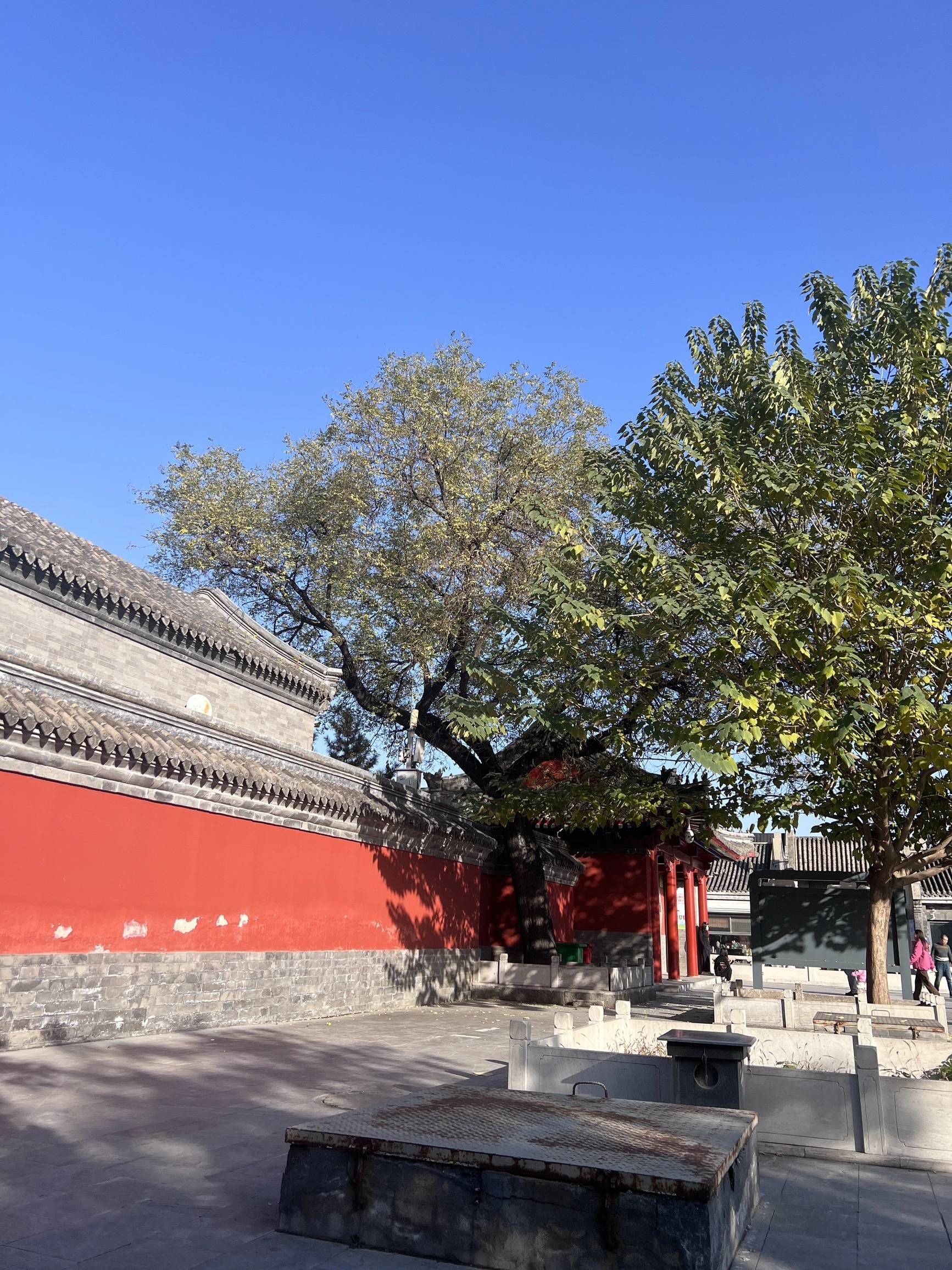 大慈阁旅行图片 3