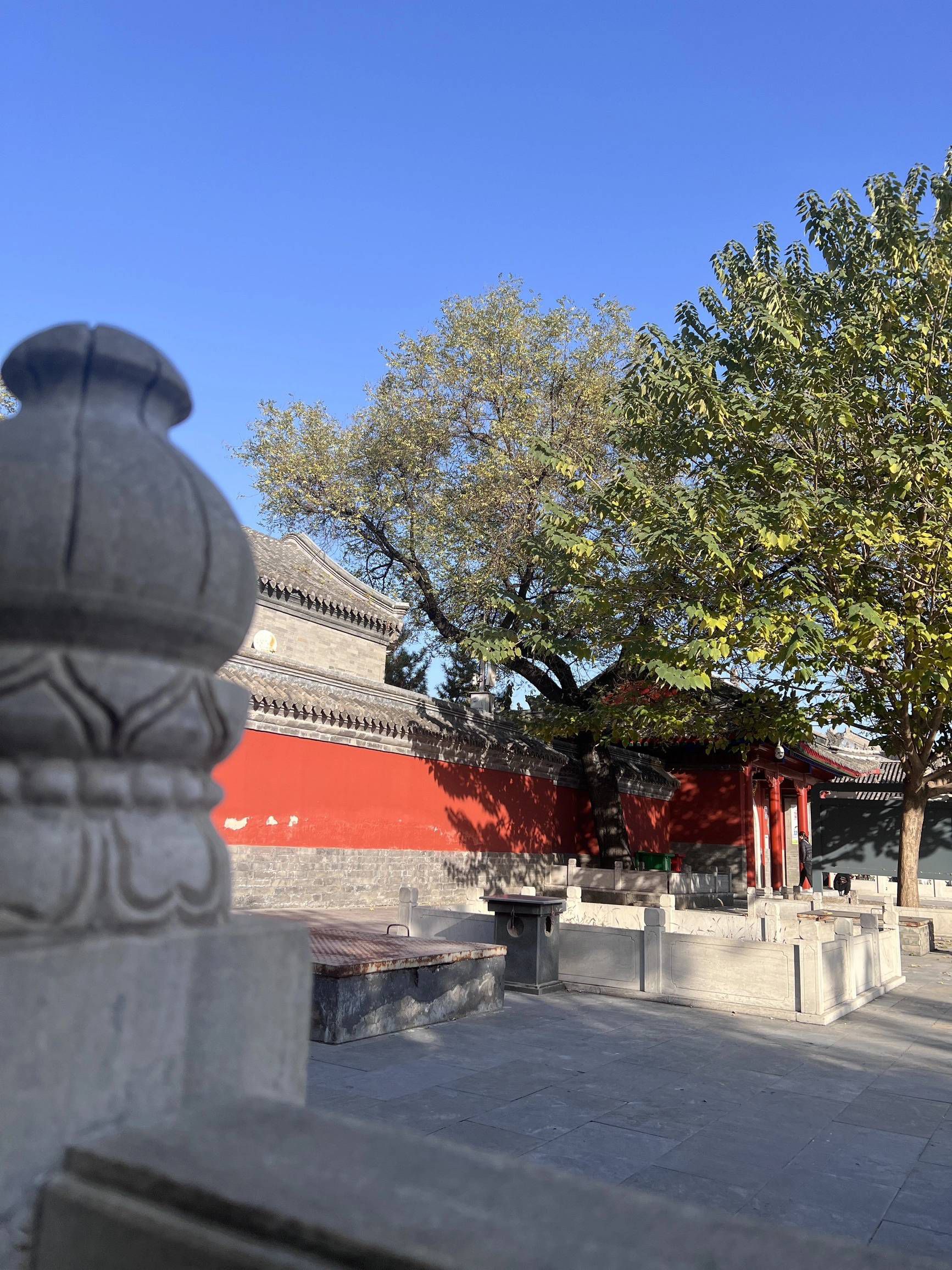 大慈阁旅行图片 2