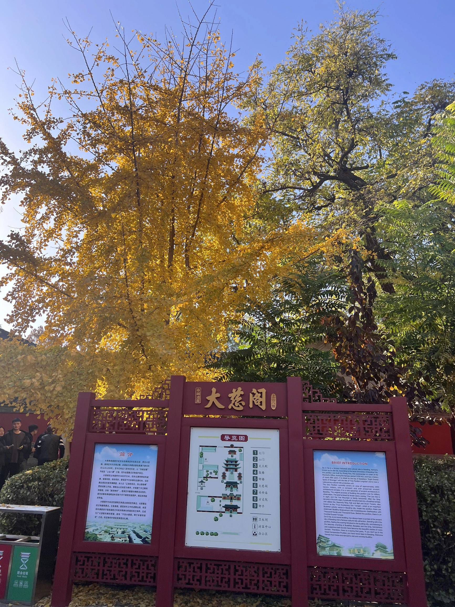 大慈阁旅行图片 1
