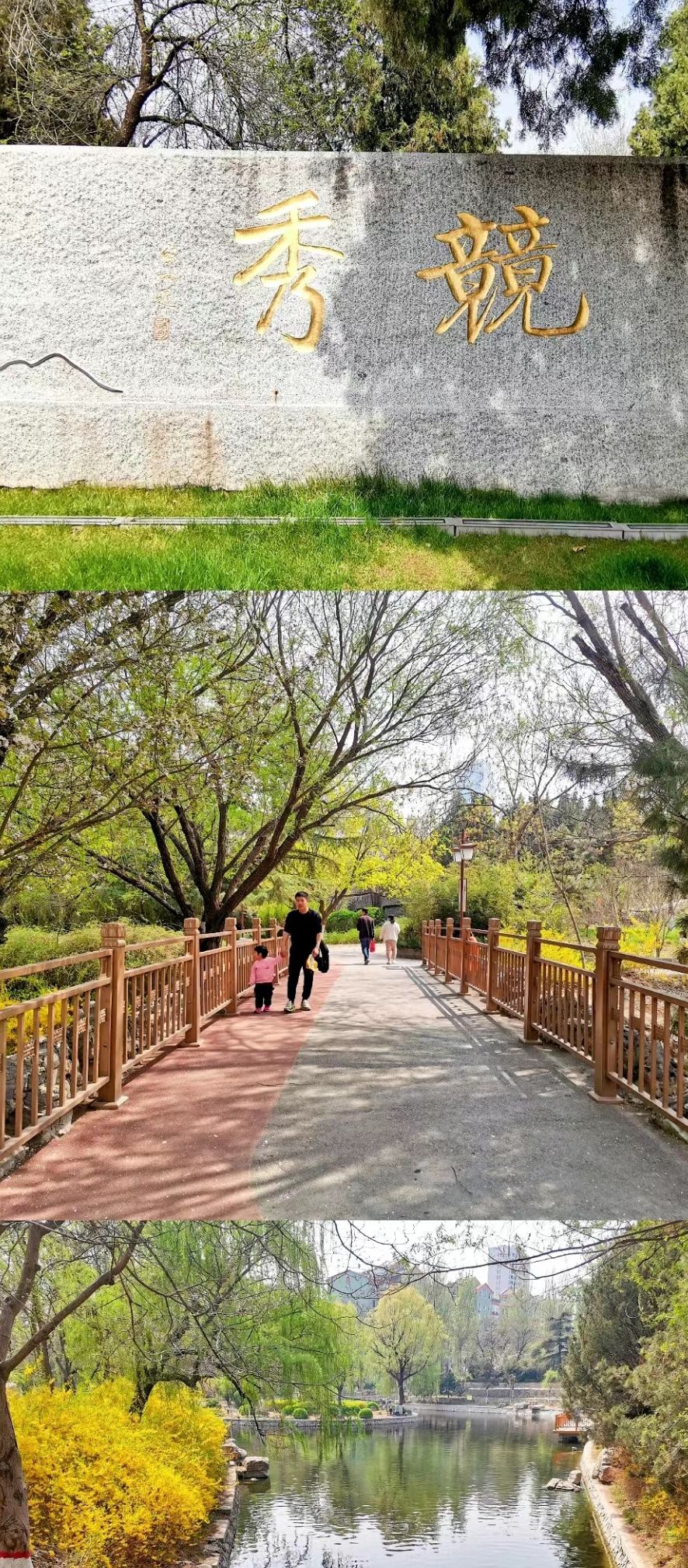 保定竞秀公园旅行图片 3
