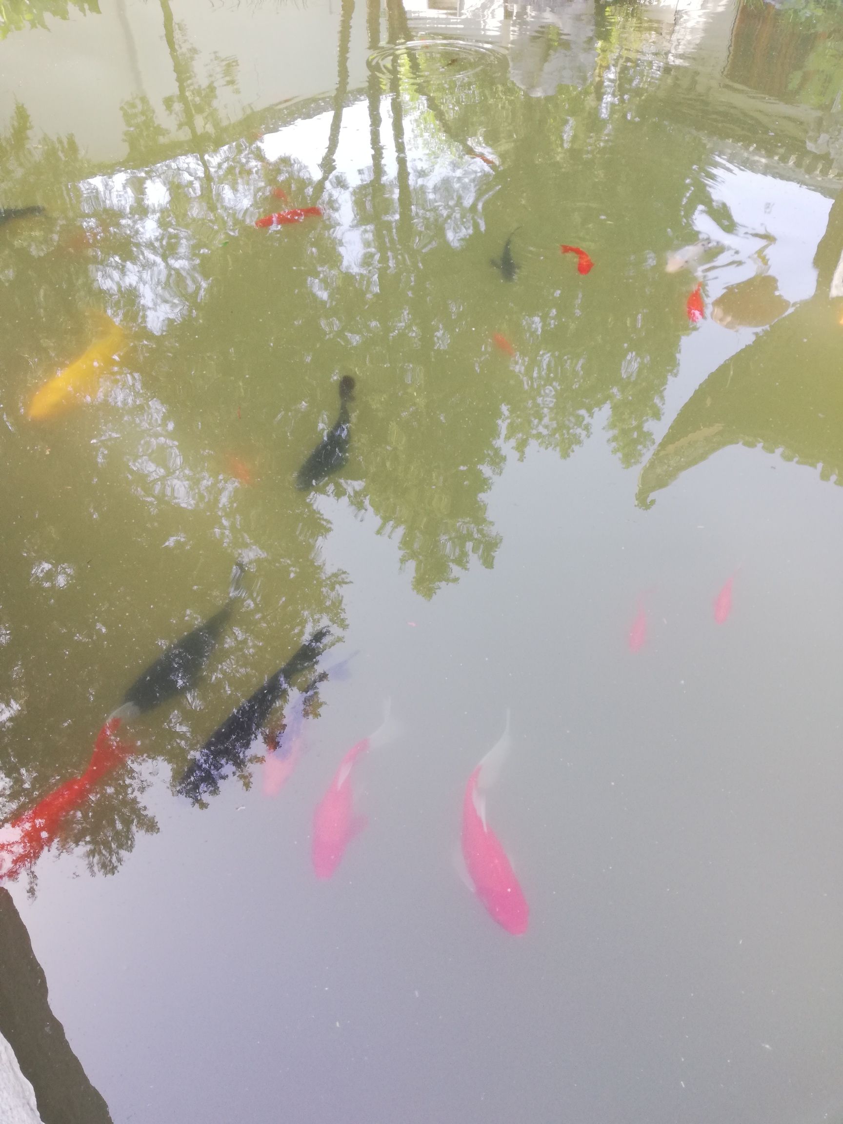 保定竞秀公园旅行图片 2