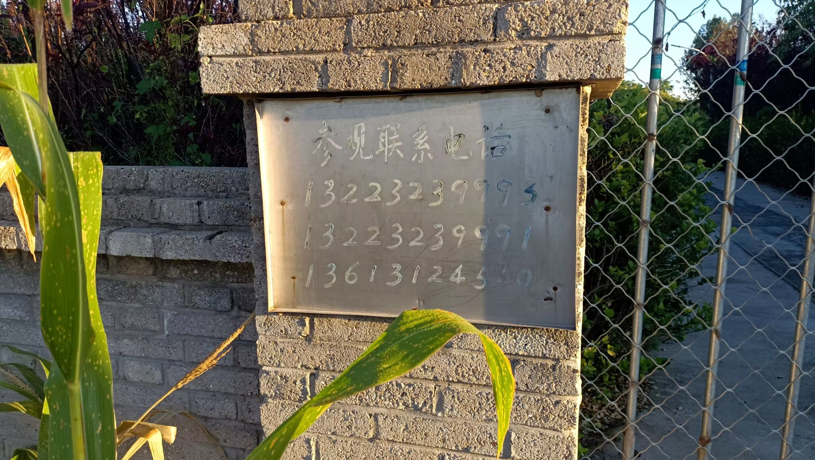 关汉卿墓旅行图片 2