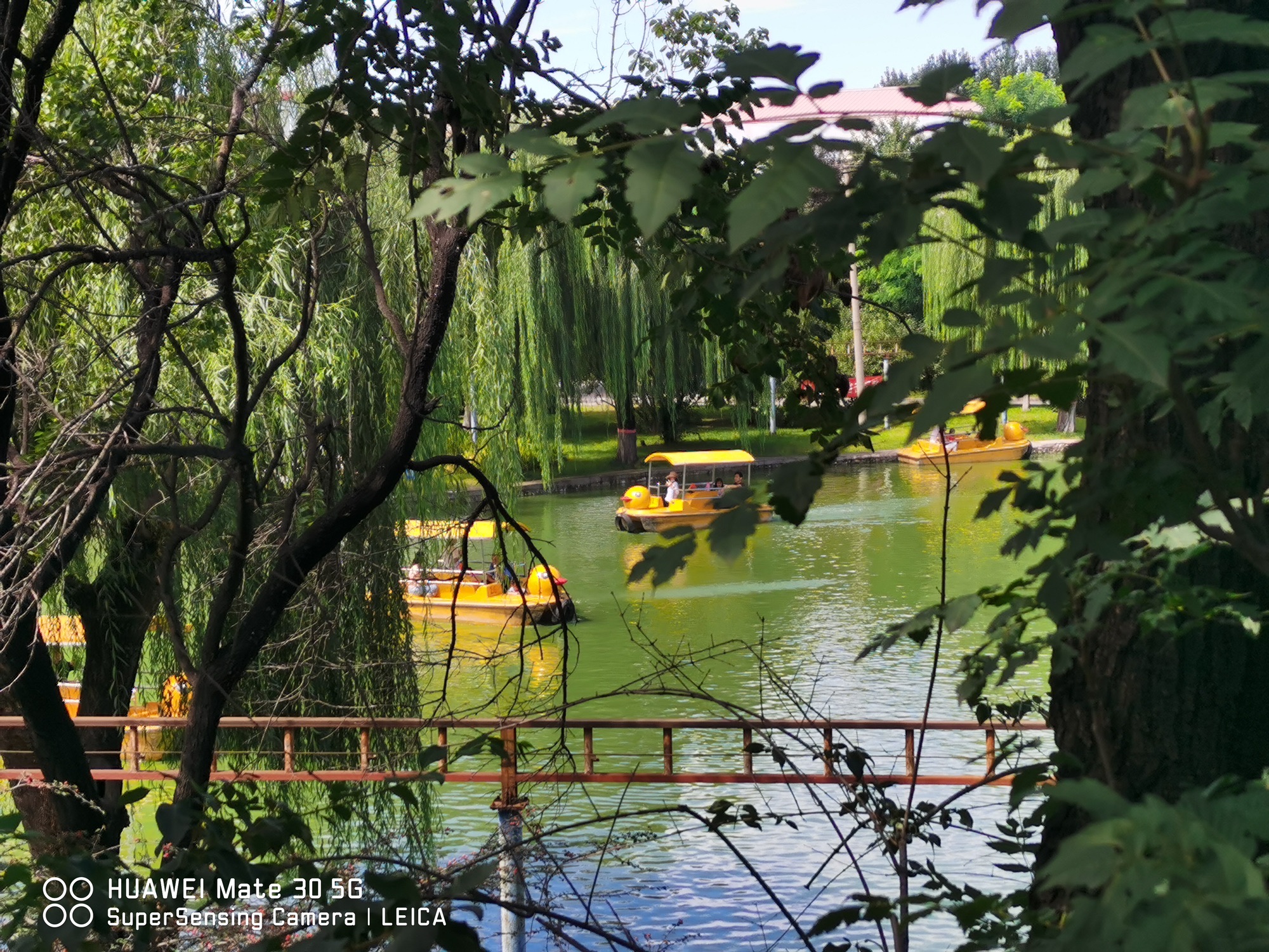 华阳公园旅行图片 2