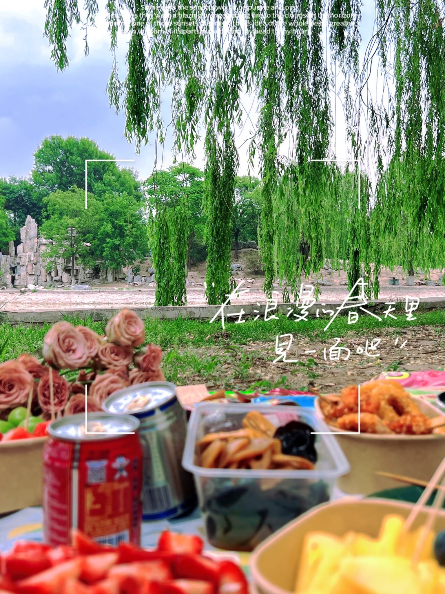 华阳公园旅行图片 3