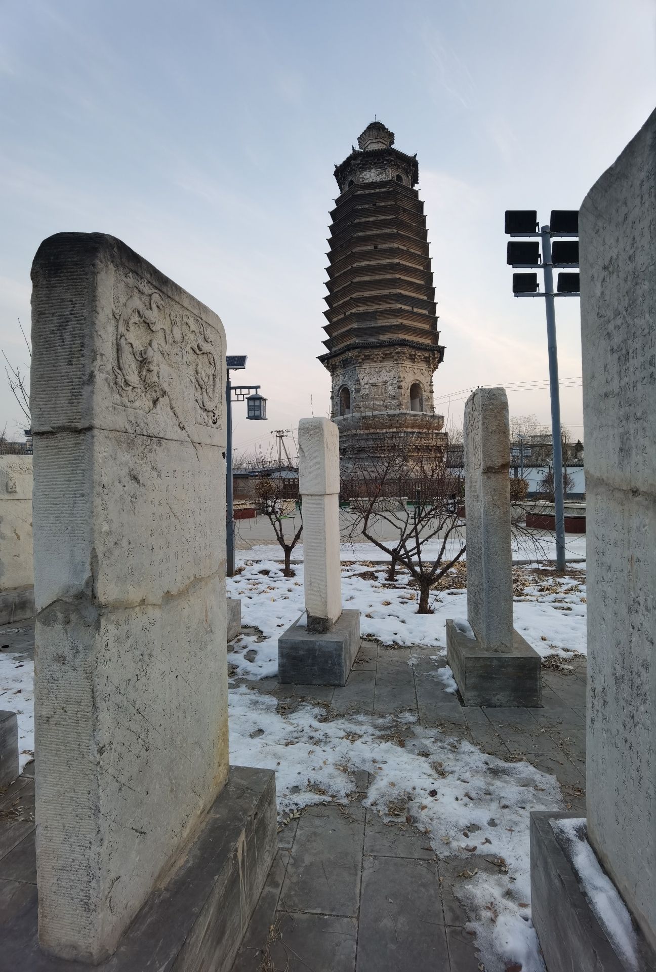 西岗塔旅行图片 3