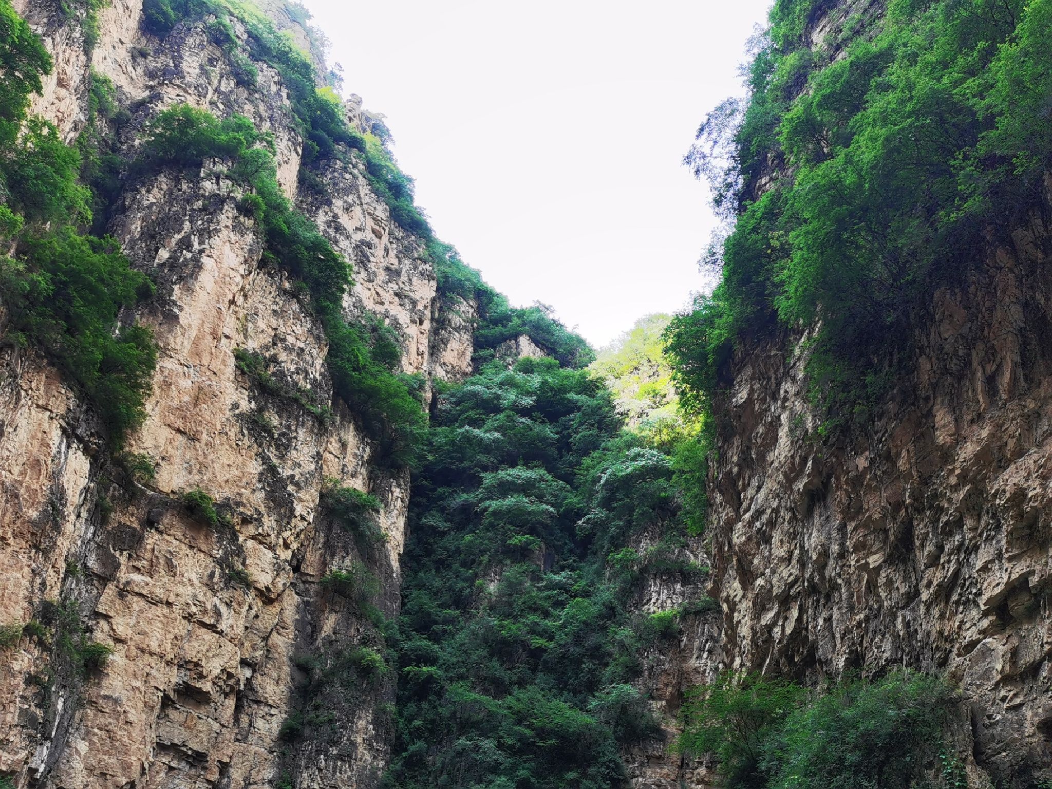 仙人峪(暂停开放)旅行图片 2