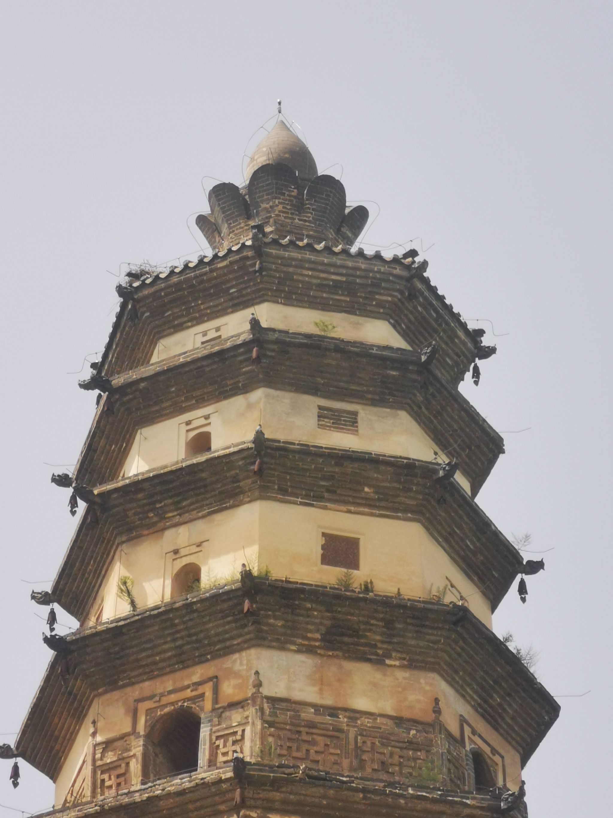 修德寺塔旅行图片 3