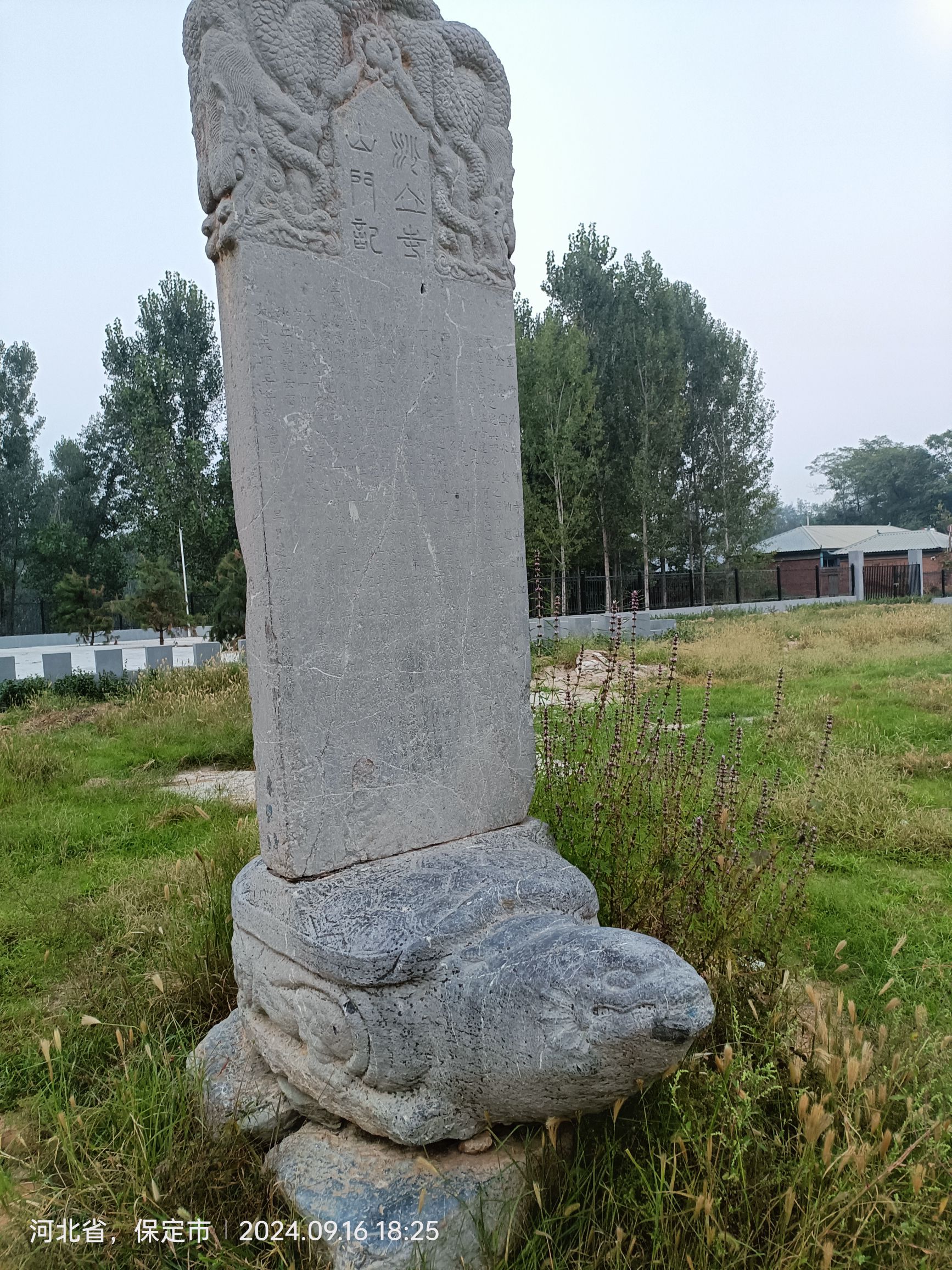 义慈惠石柱旅行图片 2